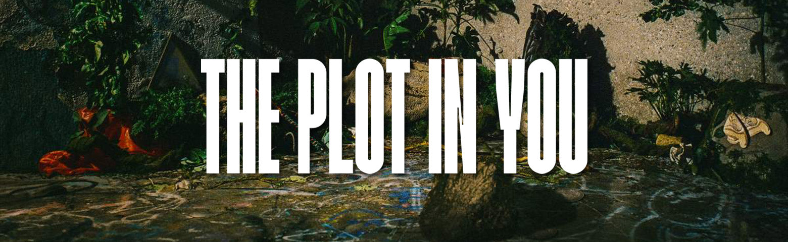 The Plot In You