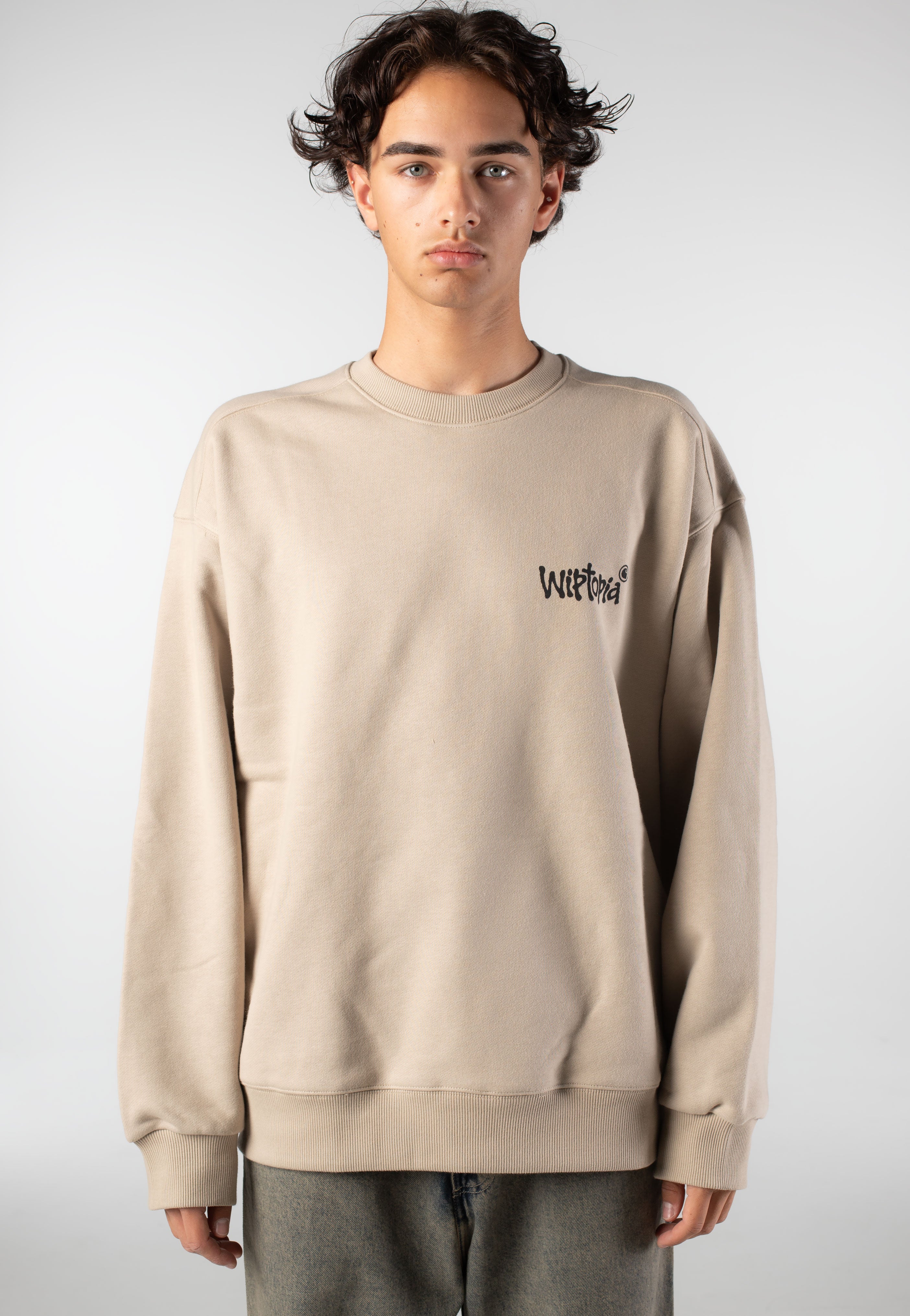 Carhartt WIP - Wiptopia Wall - Sweater | Impericon