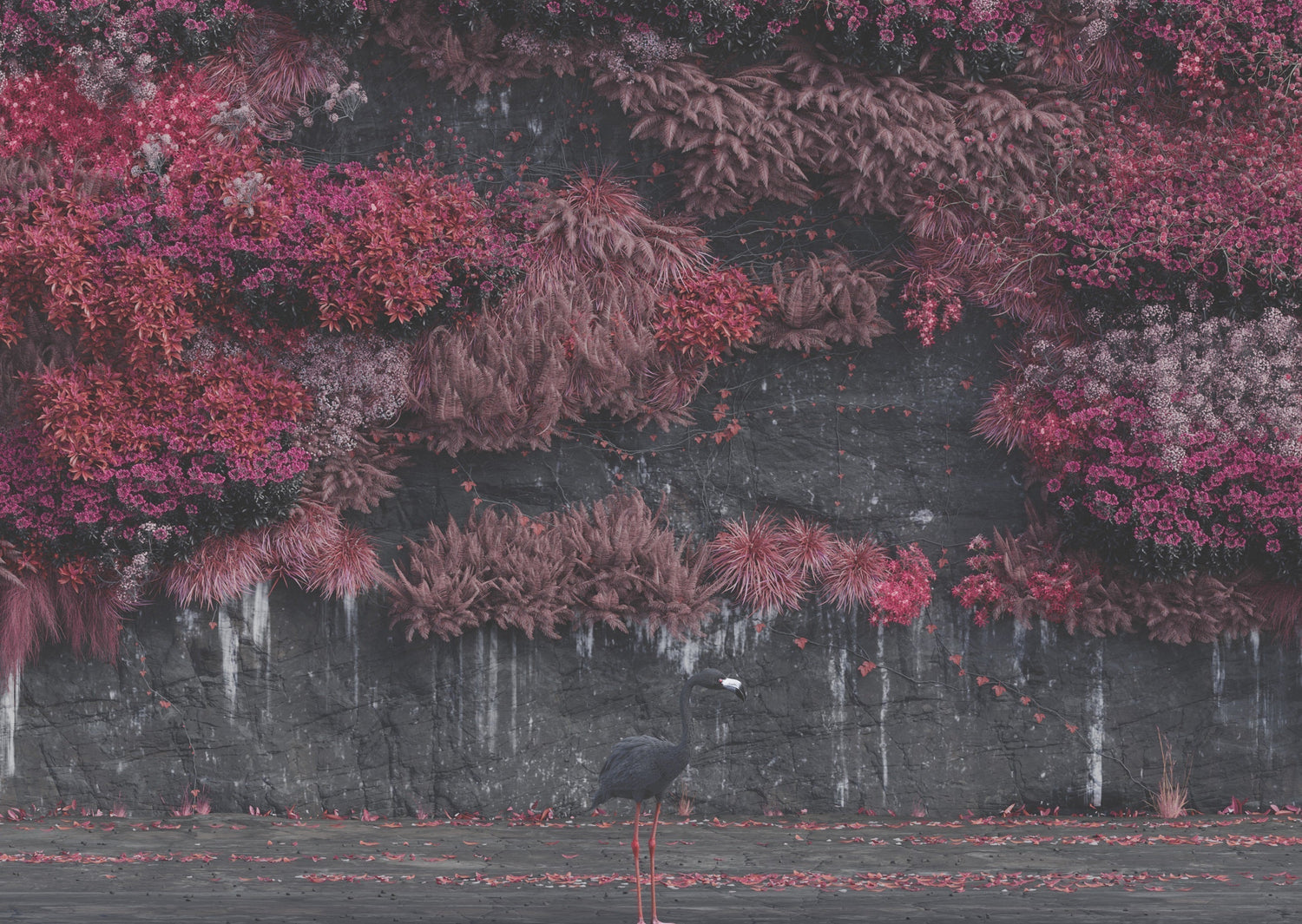 Even In Arcadia Album Artwork