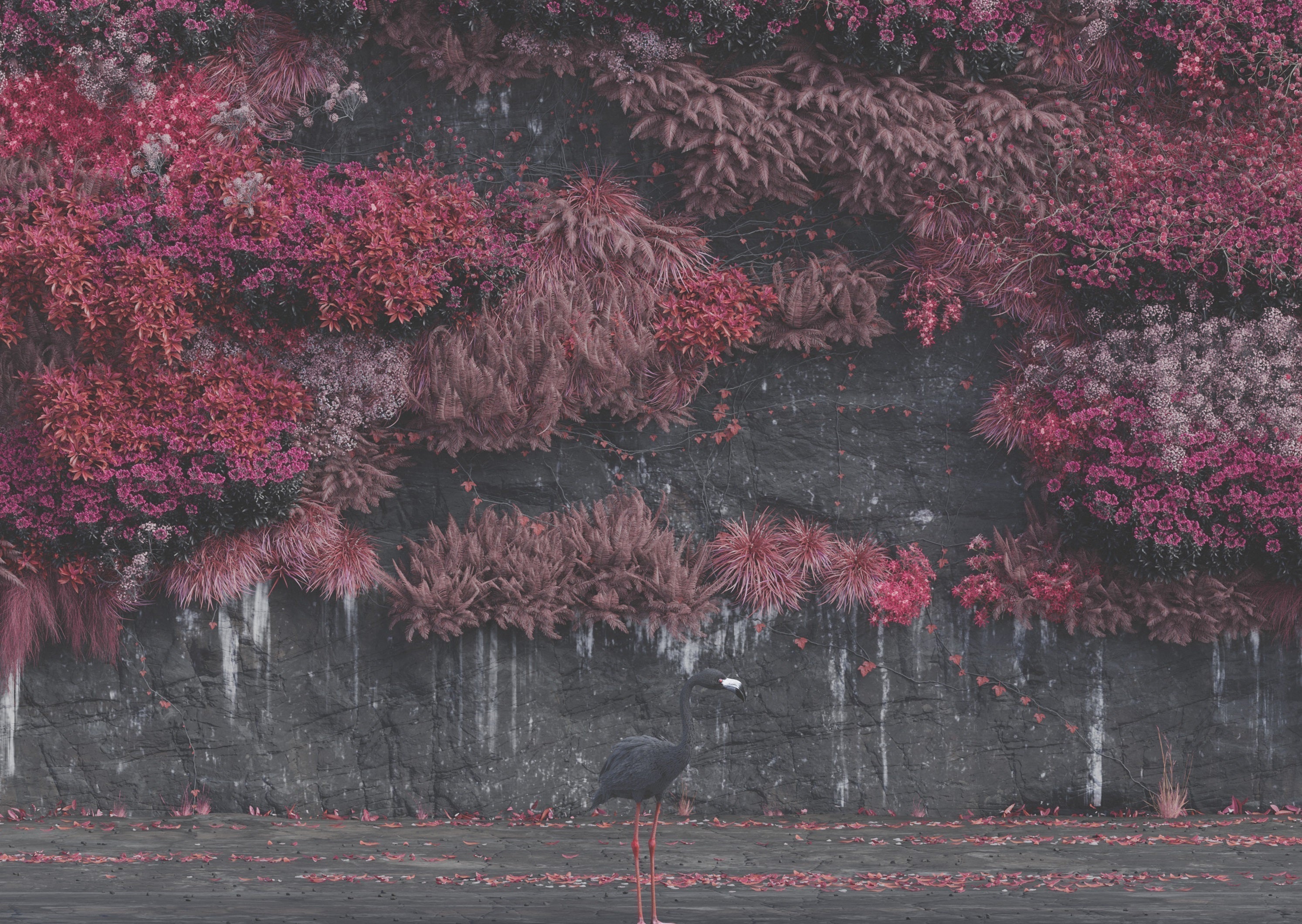 Even In Arcadia Album Artwork