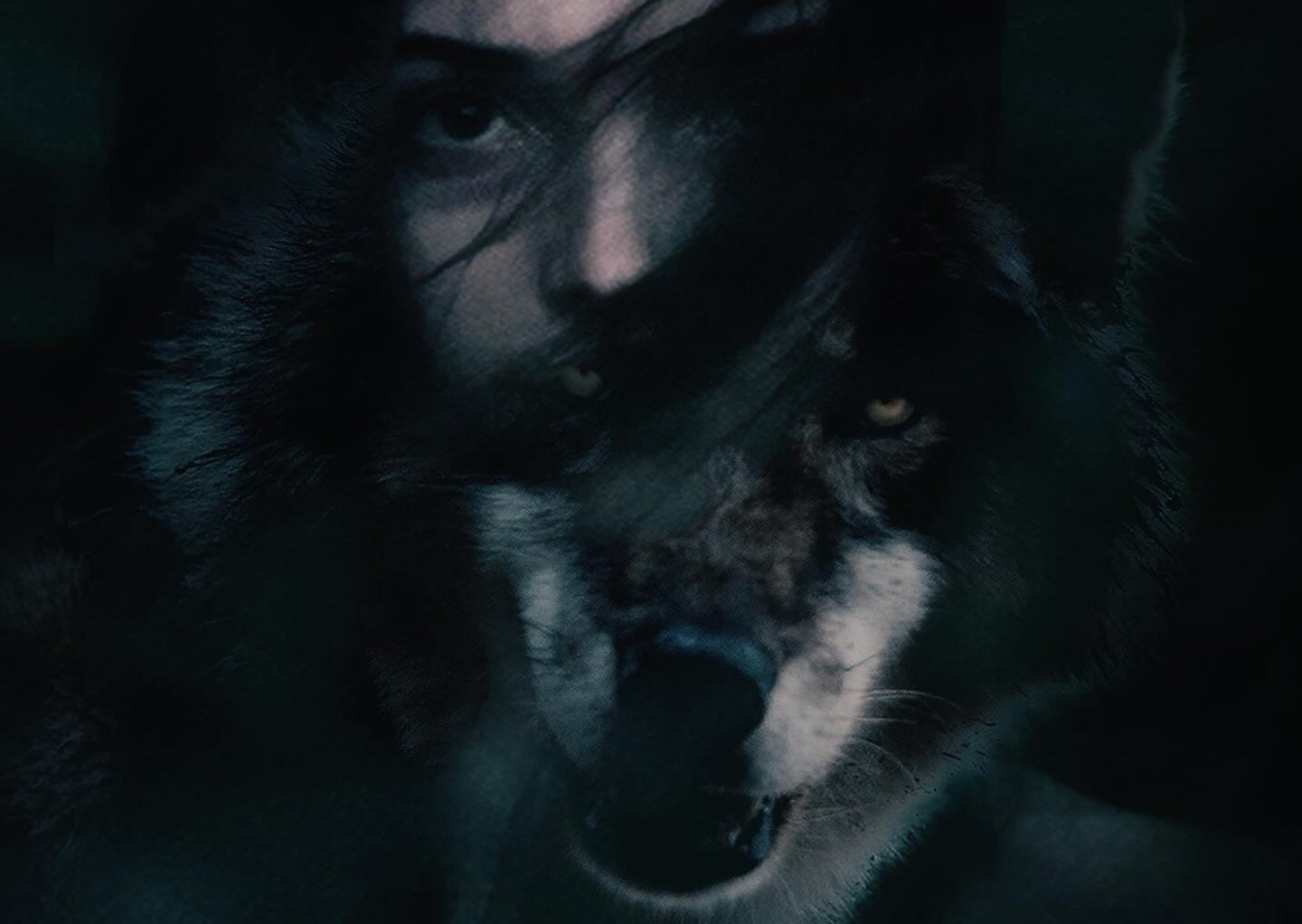 The Wolf, the Fox & the Leopard Poster