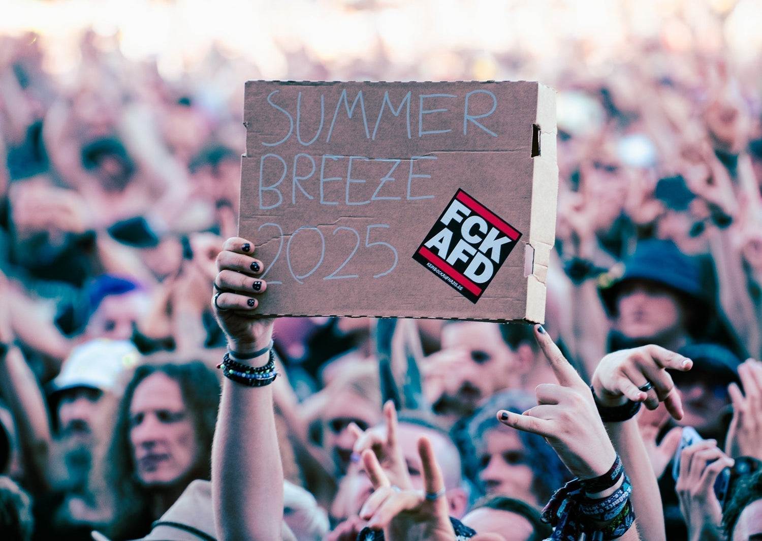 Summer Breeze 2025 Crowd Photo