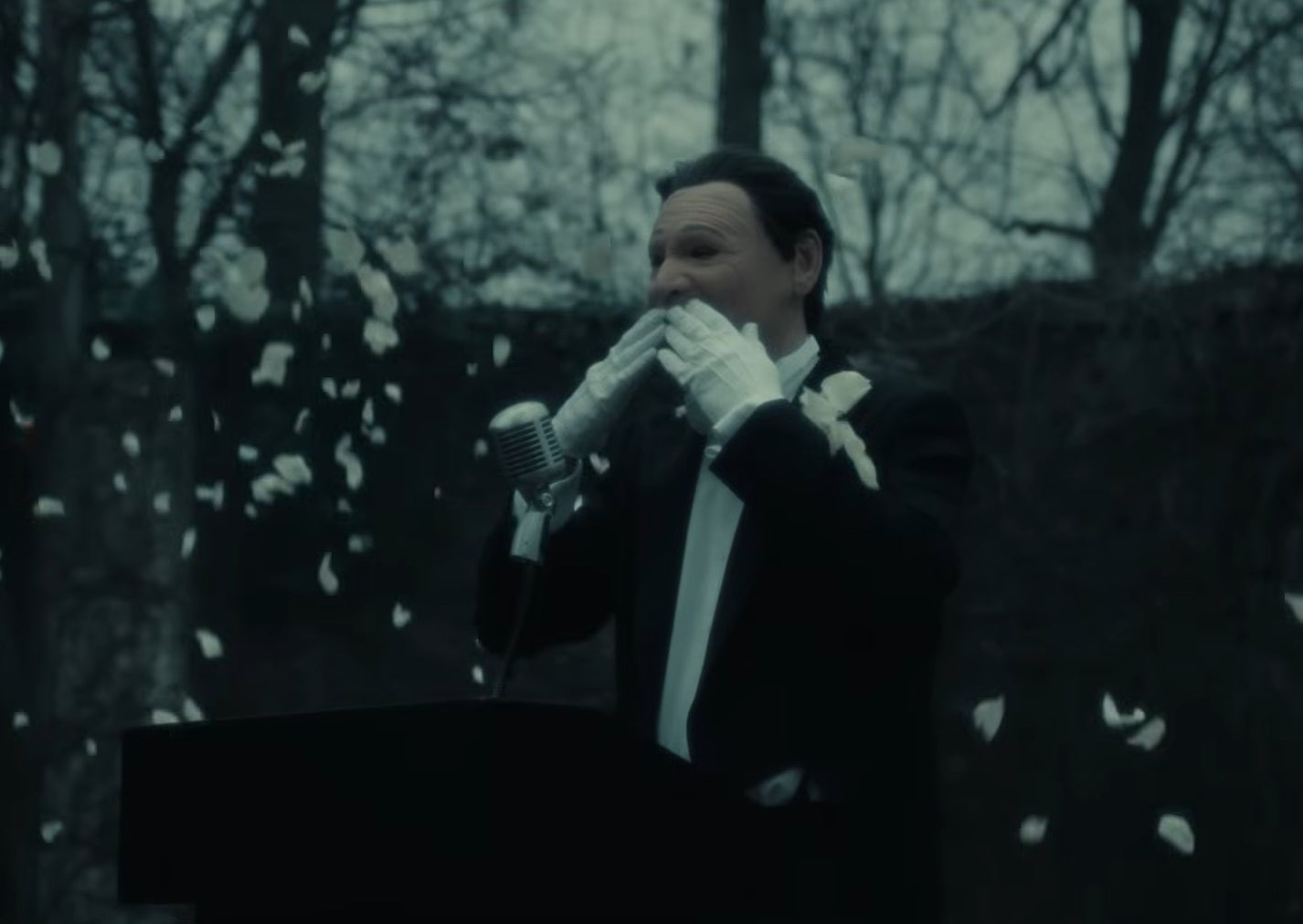 President - Angel Wings MV