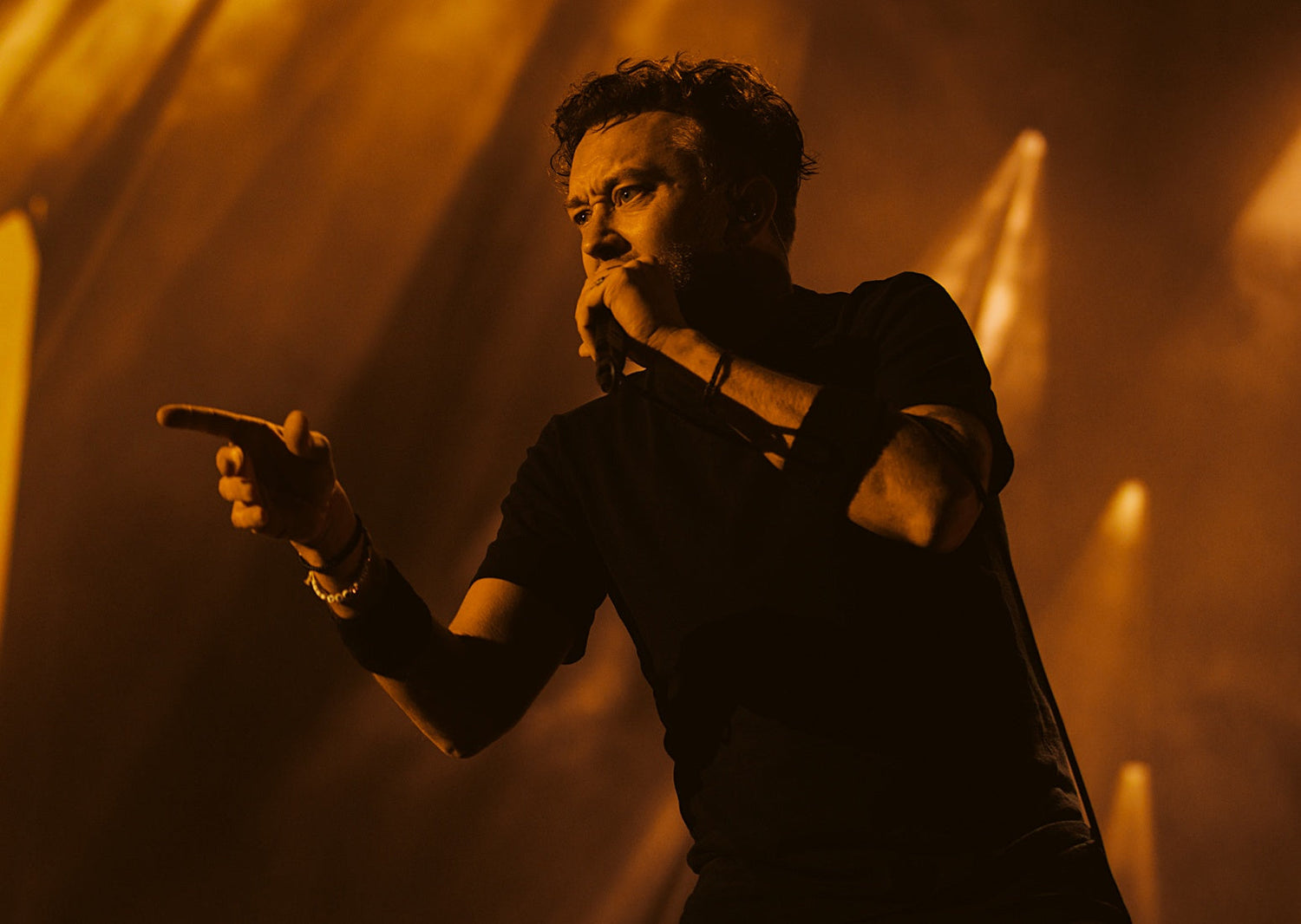 Rise Against Tim McIlrath Rock am Ring Live Music