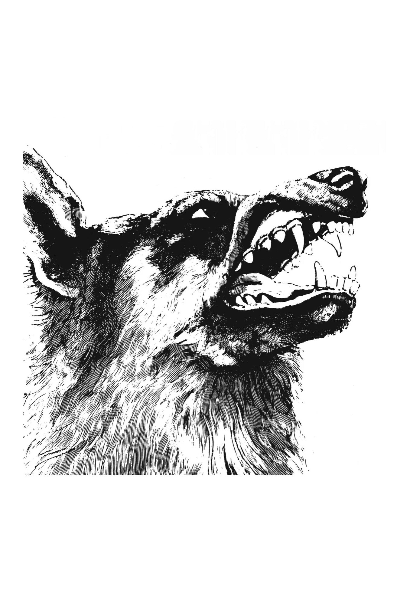 Crippled Black Phoenix - I, Vigilante - Vinyl | Neutral-Image