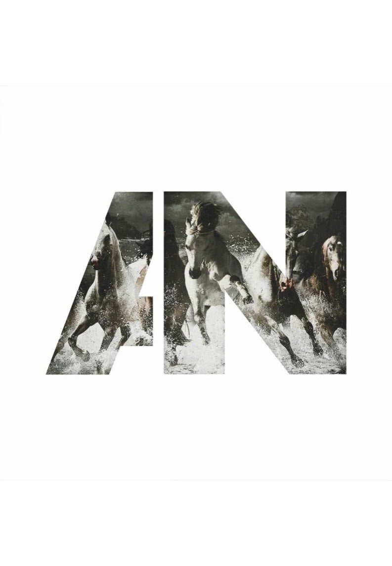 Awolnation - Run (10th Anniversary Deluxe Edition) Ltd. Silver & White - Colored 3 Vinyl | Neutral-Image