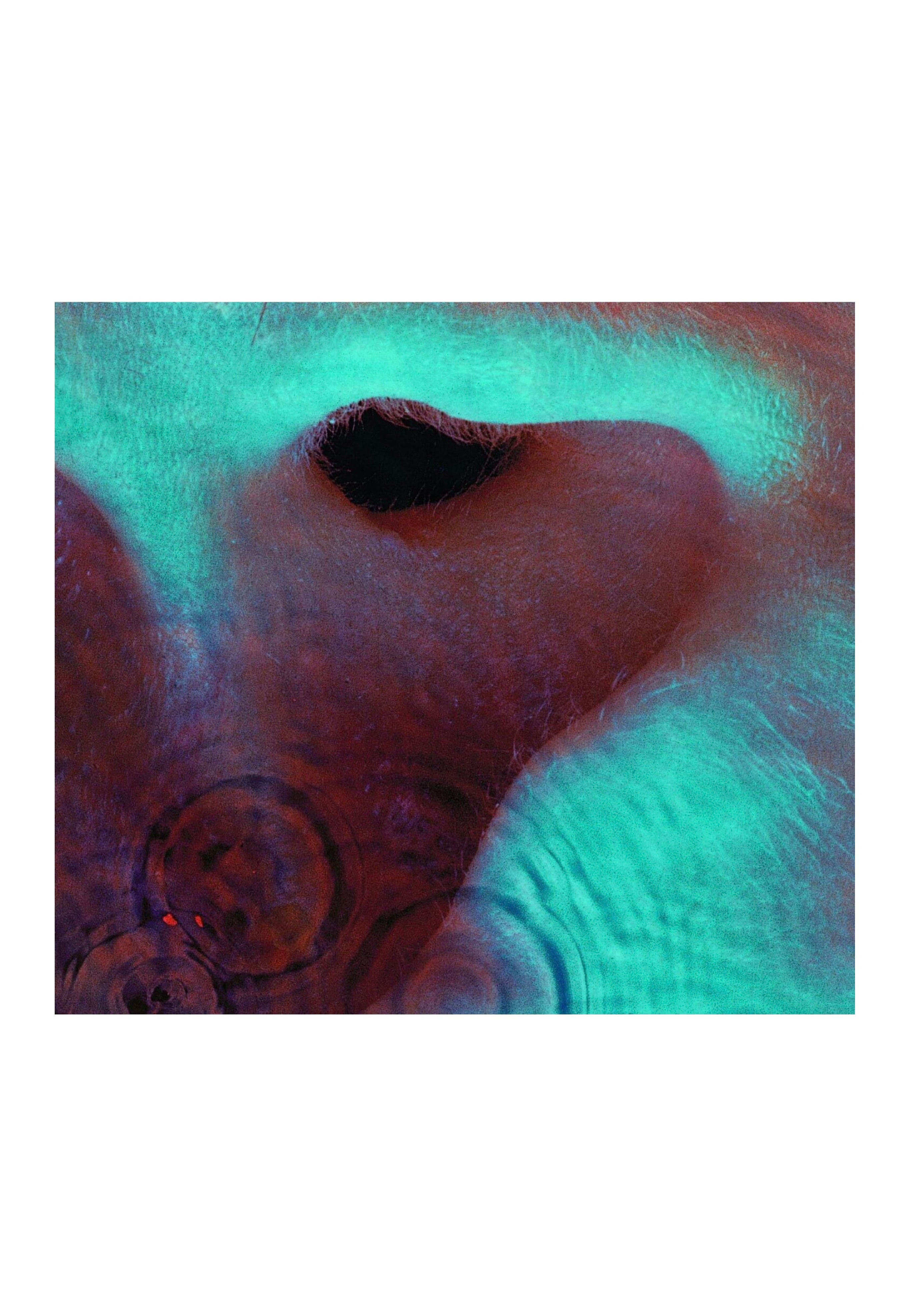 Pink Floyd - Meddle (Remastered) - Vinyl | Neutral-Image