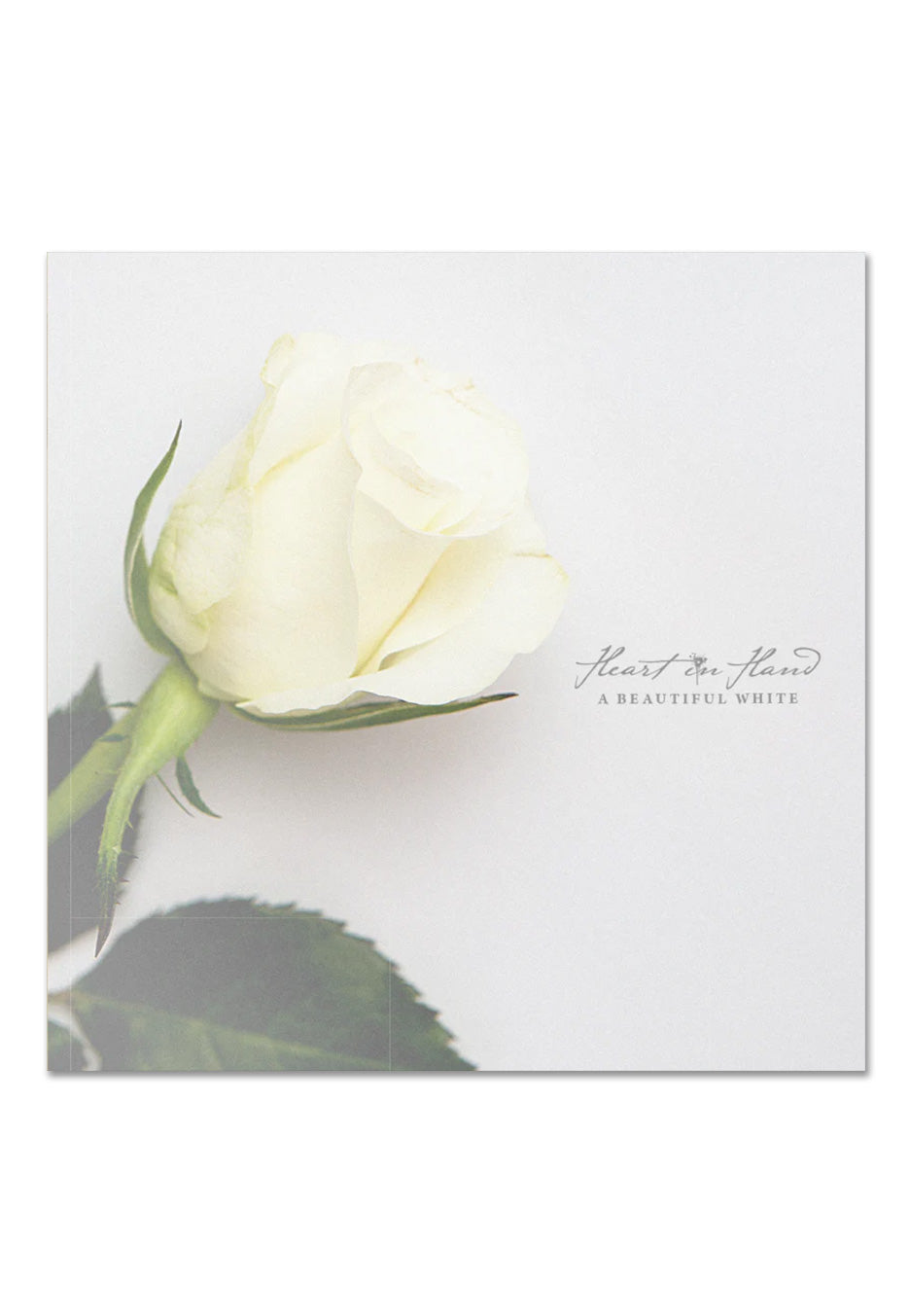 Heart In Hand - A Beautiful White Ltd. Milky Clear - Colored Vinyl | Neutral-Image