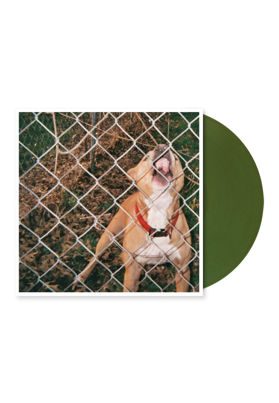 Knocked Loose - Pop Culture EP Swamp Green - Colored LP  | Neutral-Image