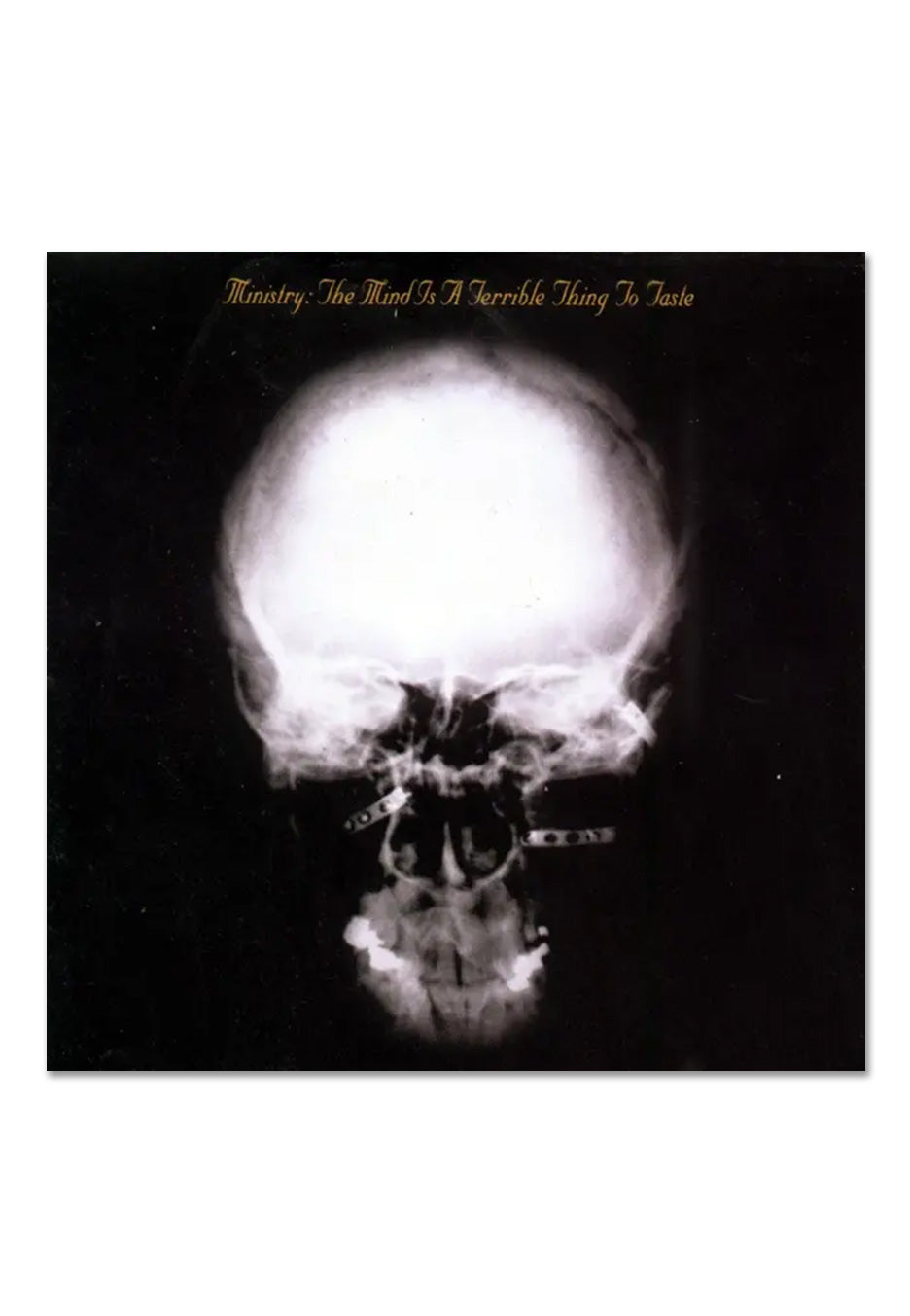 Ministry - The Mind Is A Terrible Thing To Taste (Expanded Edition) - 2 Vinyl | Neutral-Image