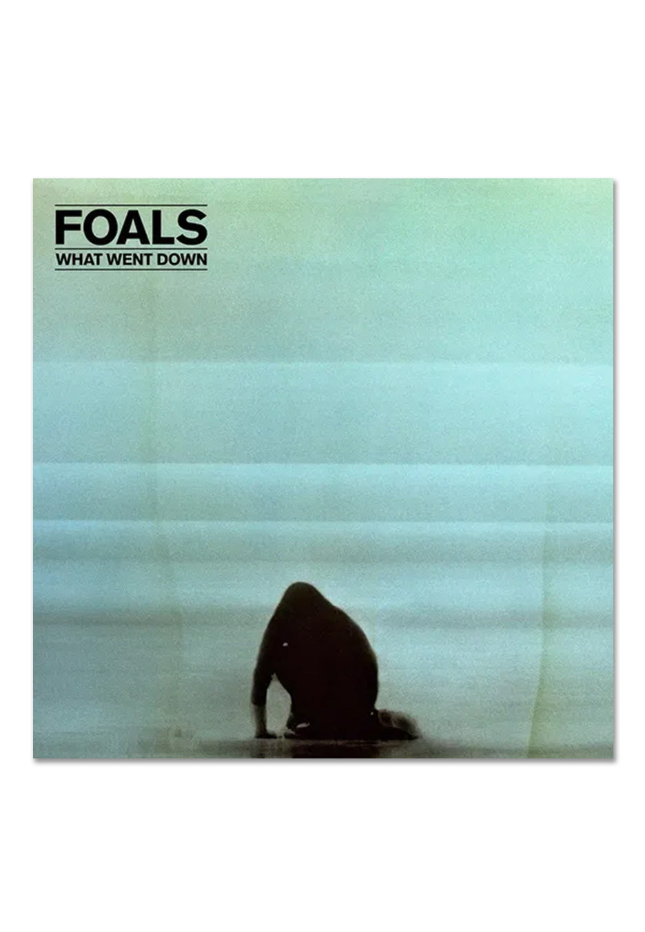 Foals - What Went Down Ltd. Clear/Black - Colored Vinyl | Neutral-Image