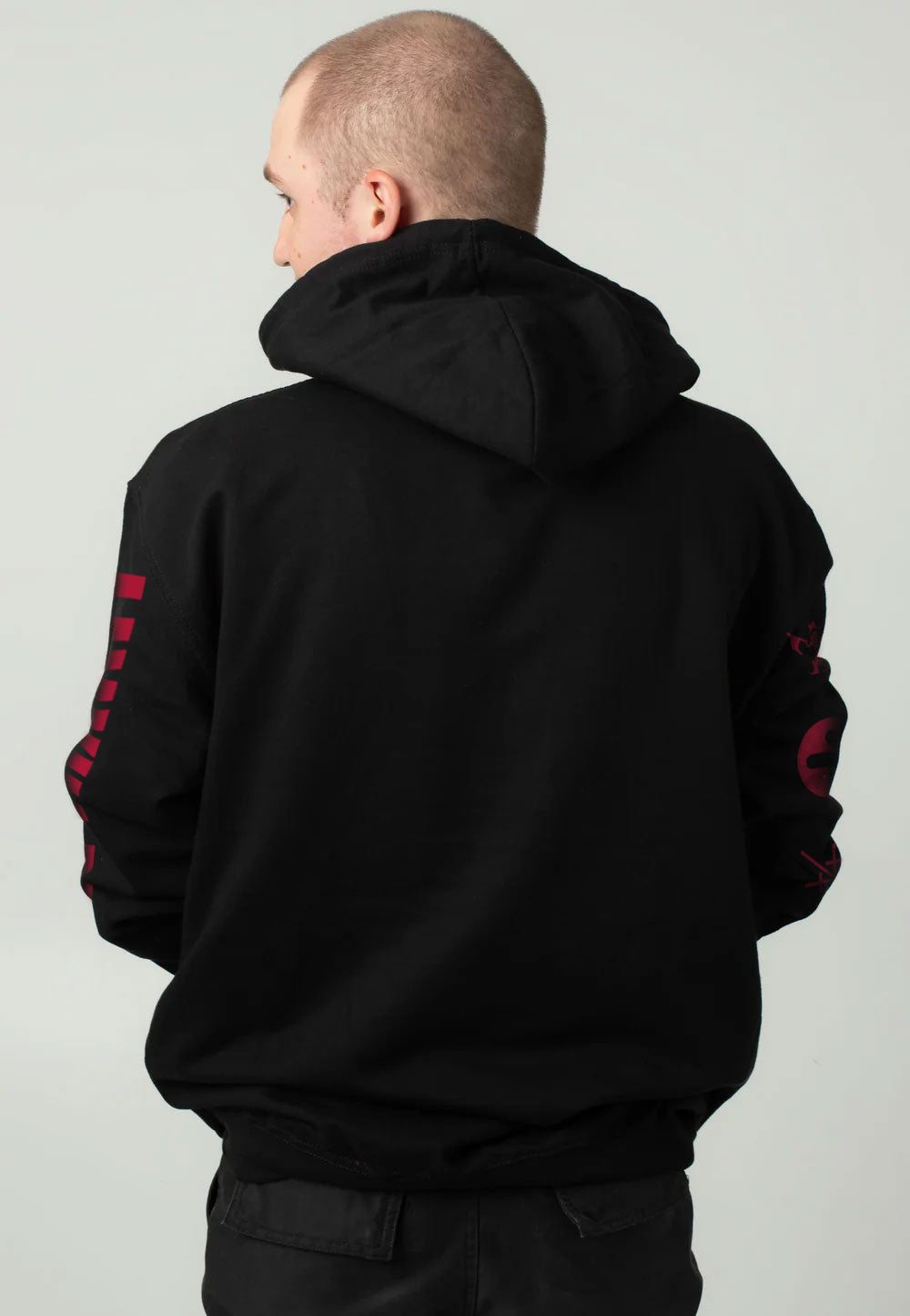 Linkin Park - Hybrid Disk - Hoodie | Men-Image
