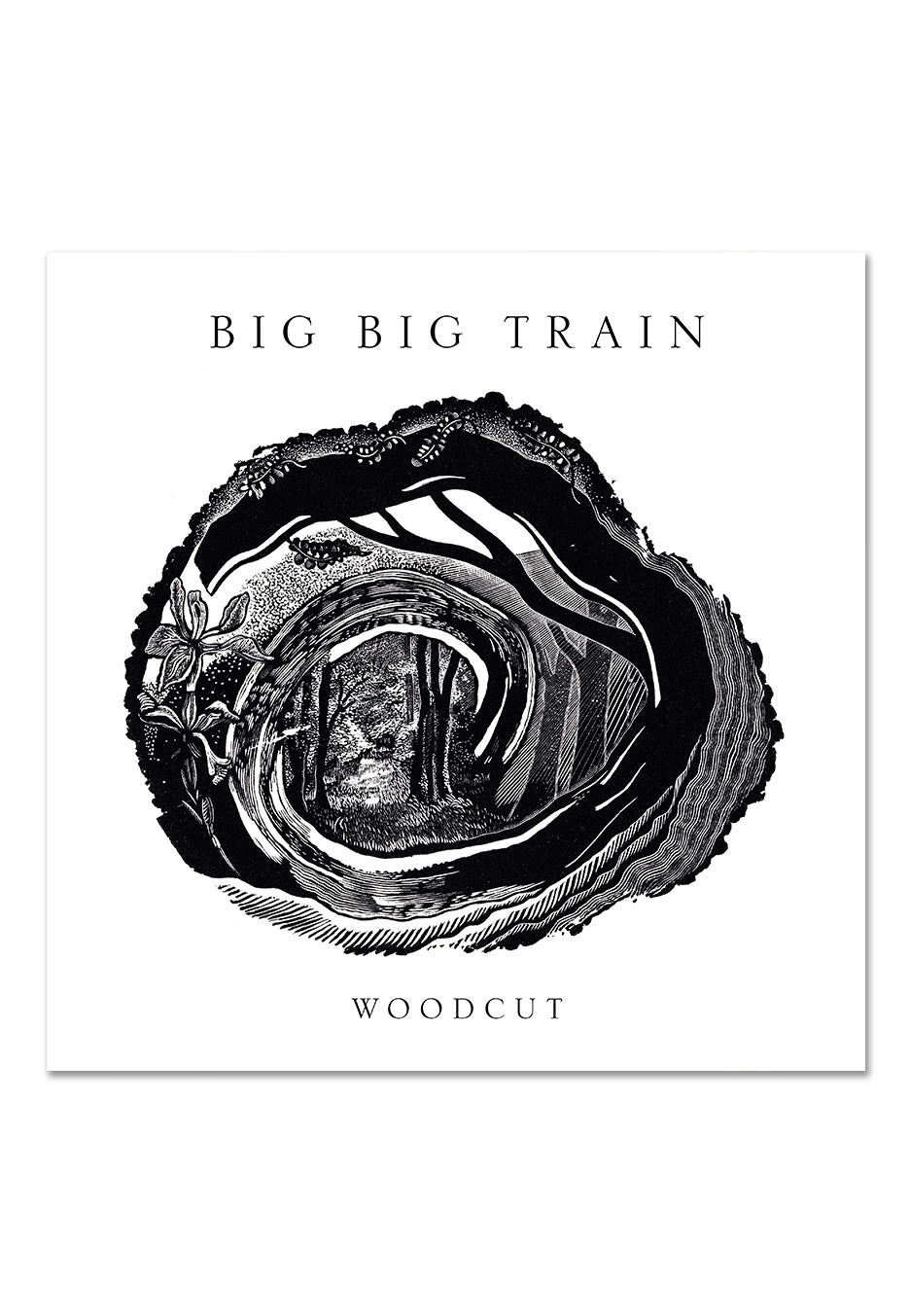 Big Big Train - Woodcut - CD | Neutral-Image