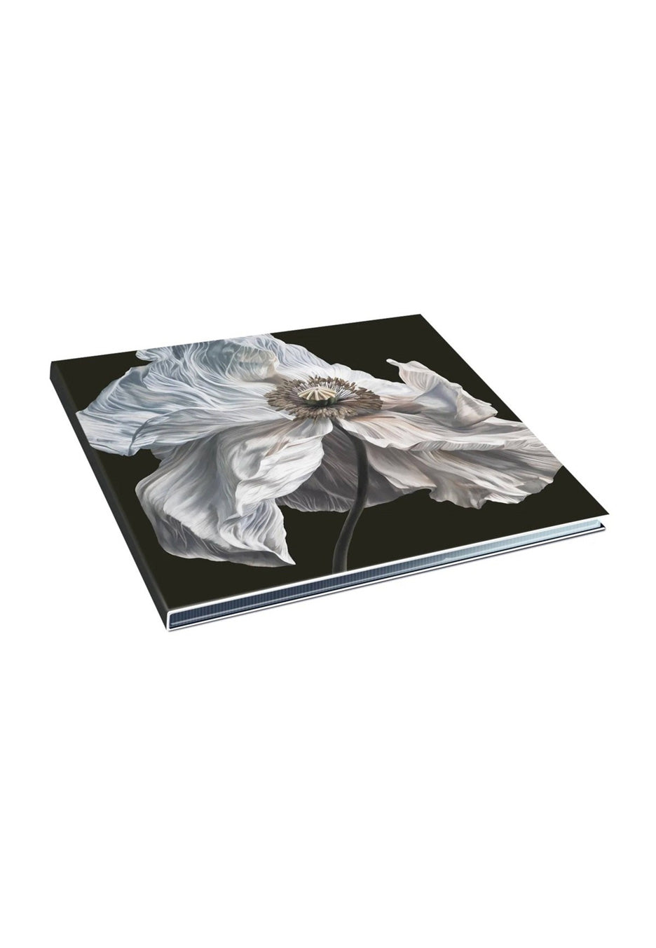 Quicksand - Bring On The Psychics - Digipak CD | Neutral-Image