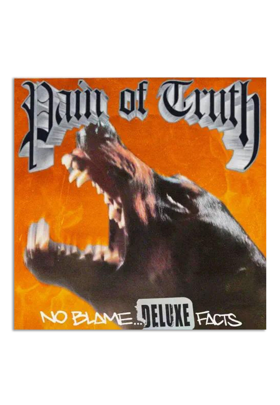 Pain Of Truth No Blame... Deluxe Facts CD | Neutral-Image