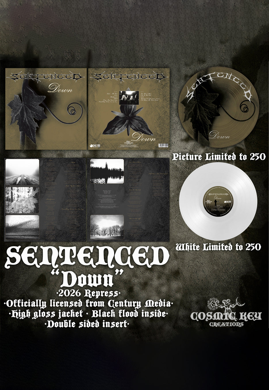 Sentenced Down White Colored Vinyl | Neutral-Image