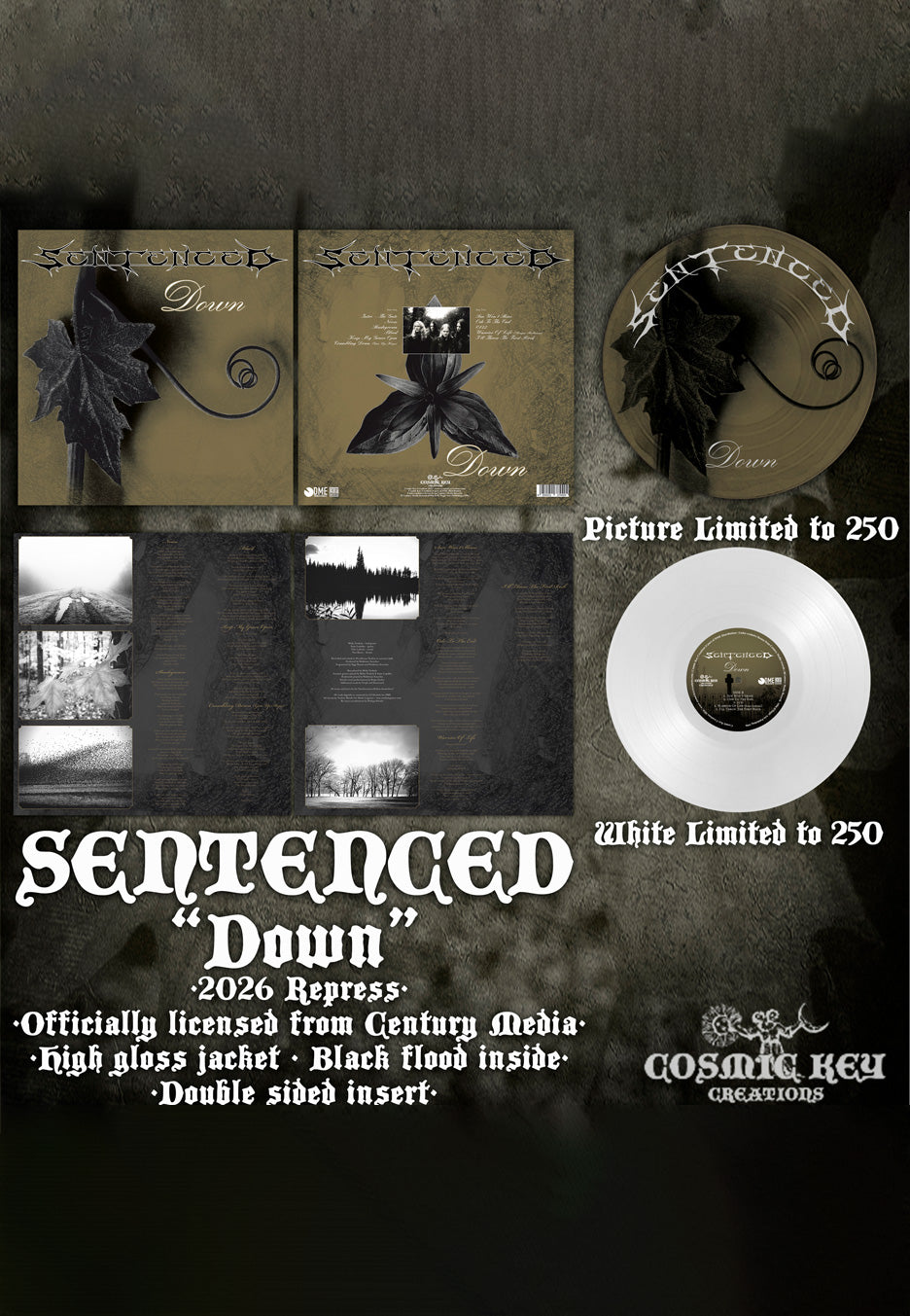 Sentenced Down Picture Vinyl | Neutral-Image