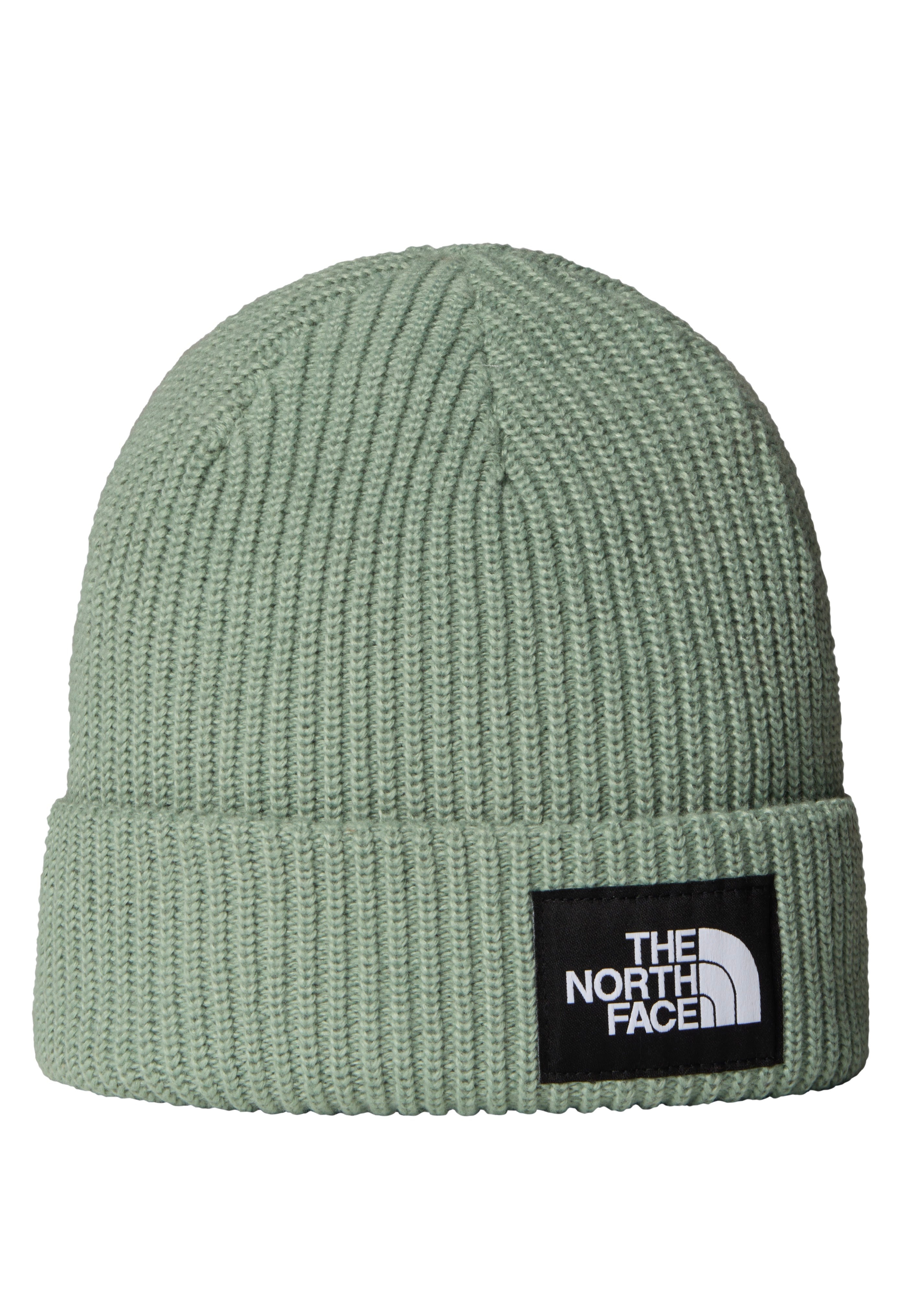 The North Face - Salty Lined Slate Moss - Beanie | Neutral-Image