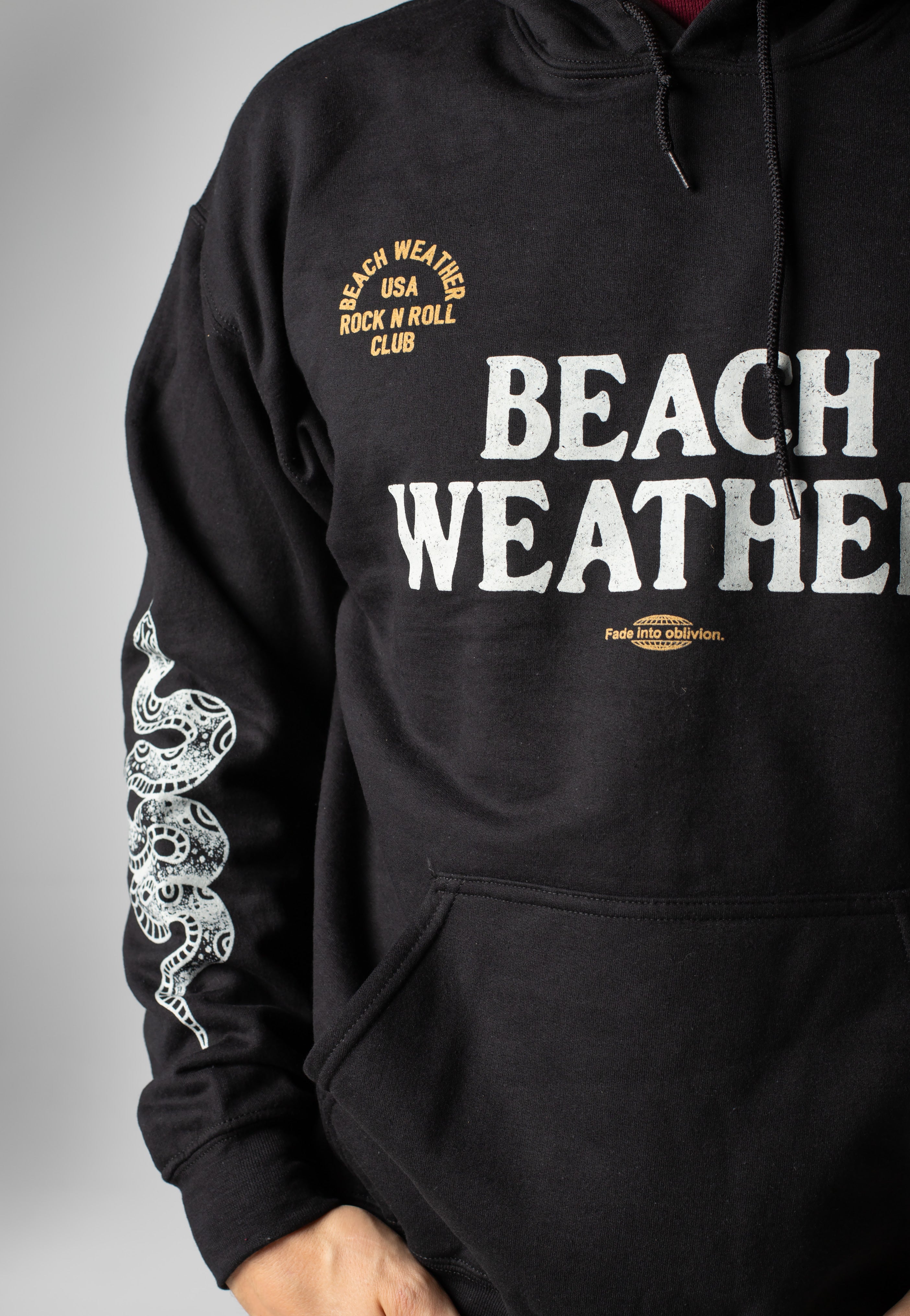 Beach Weather - Snake - Hoodie | Men-Image