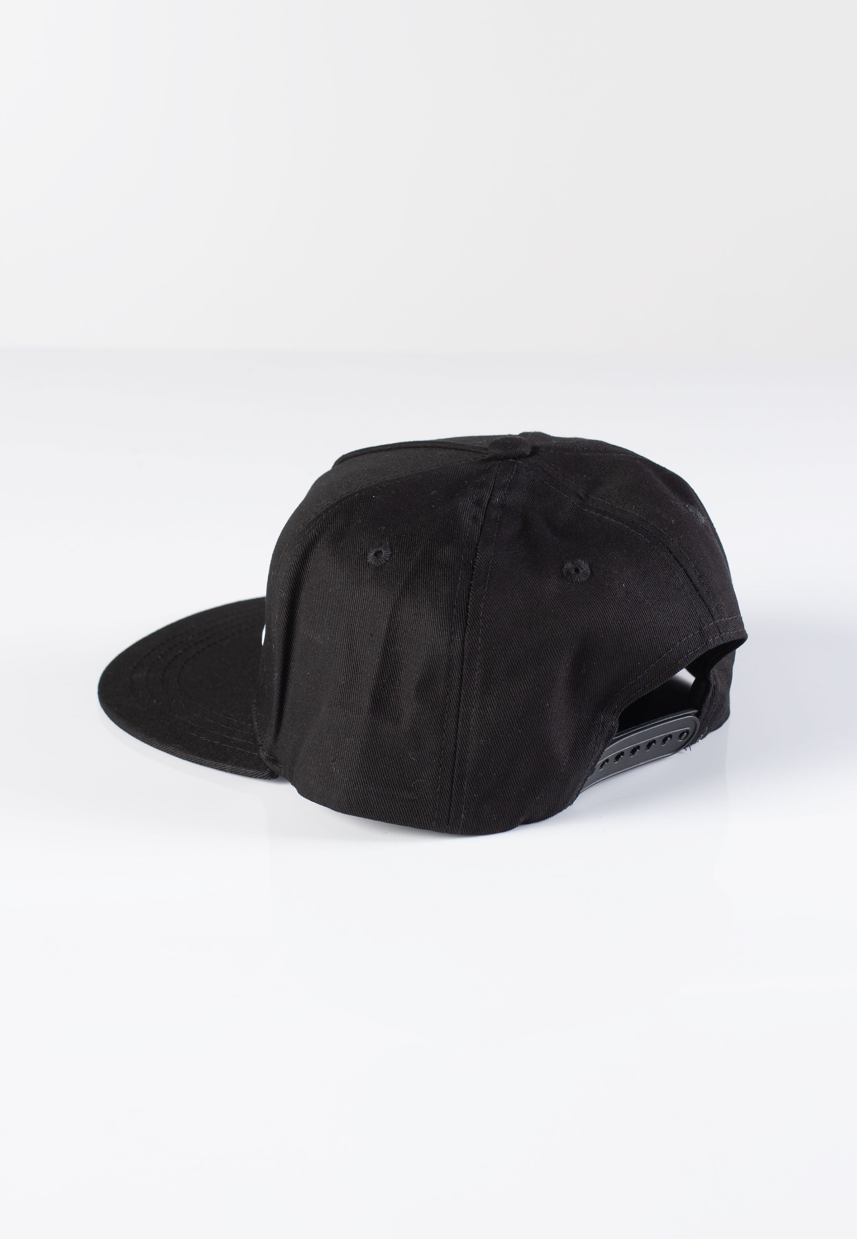 Beastie Boys - Check Your Head Logo - Cap | Neutral-Image