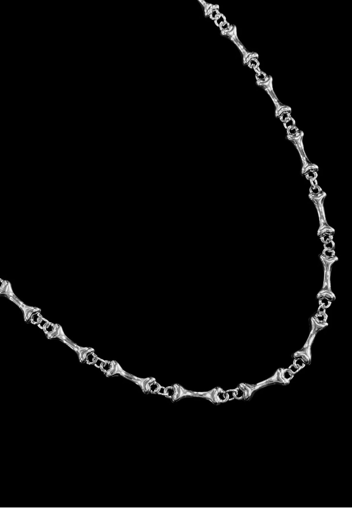 Fainz Bones Silver Wallet Chain | Neutral-Image
