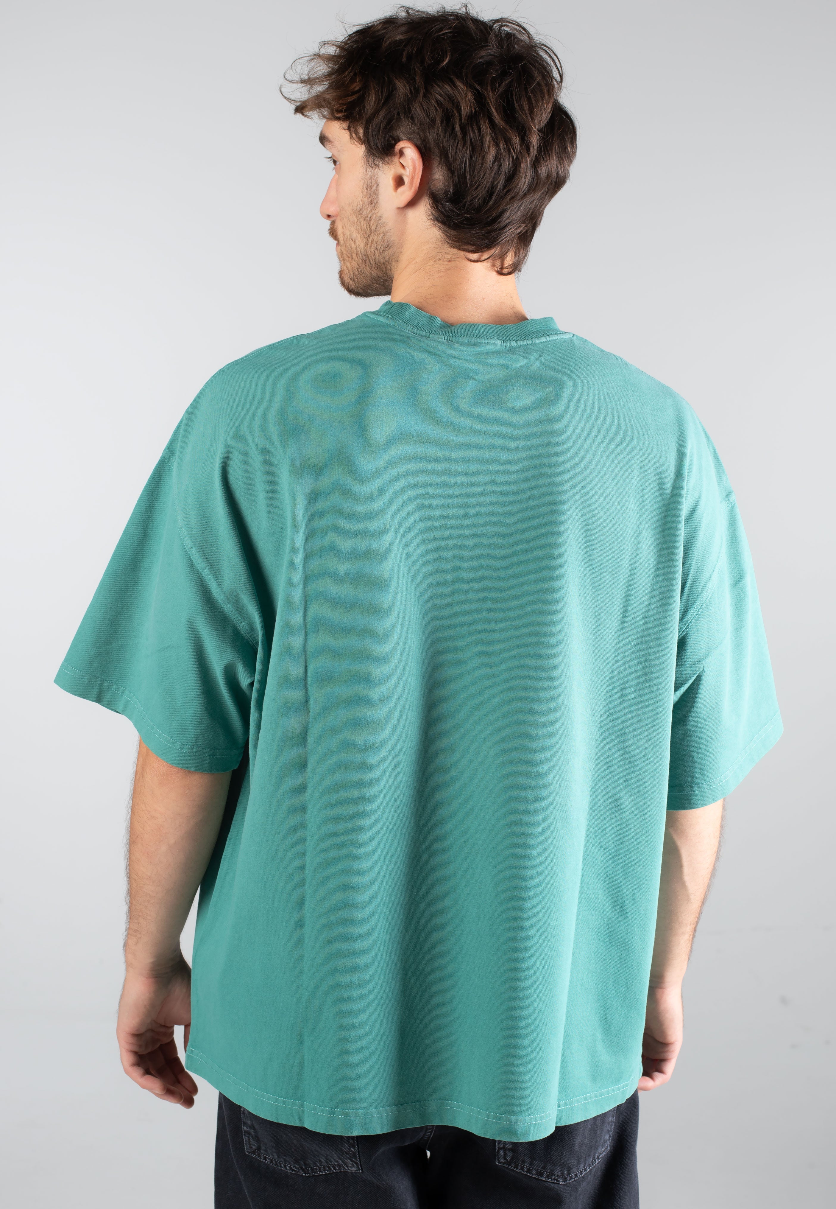 Carhartt WIP - Hudson Pocket Saguaro - T-Shirt | Men-Image