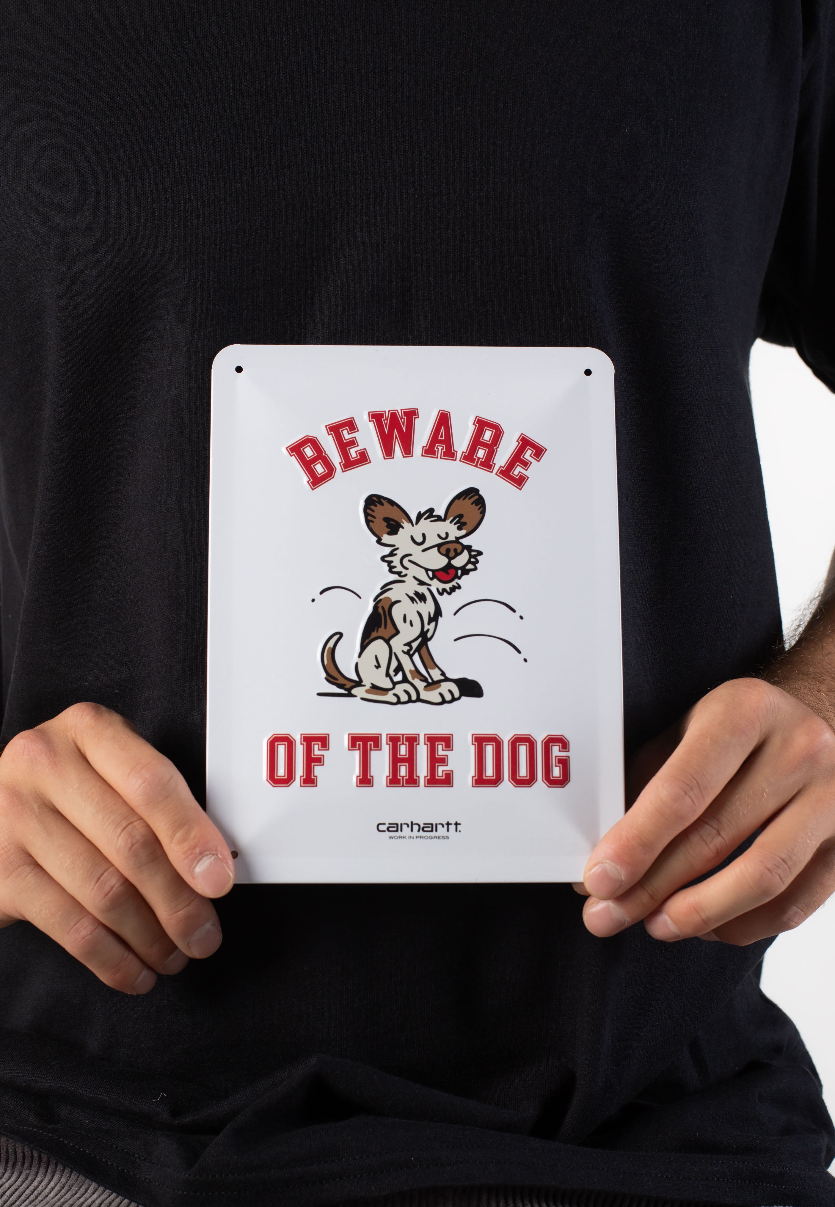 Carhartt WIP - Wild Dog Beware Multicolor - Metal Plate | Neutral-Image