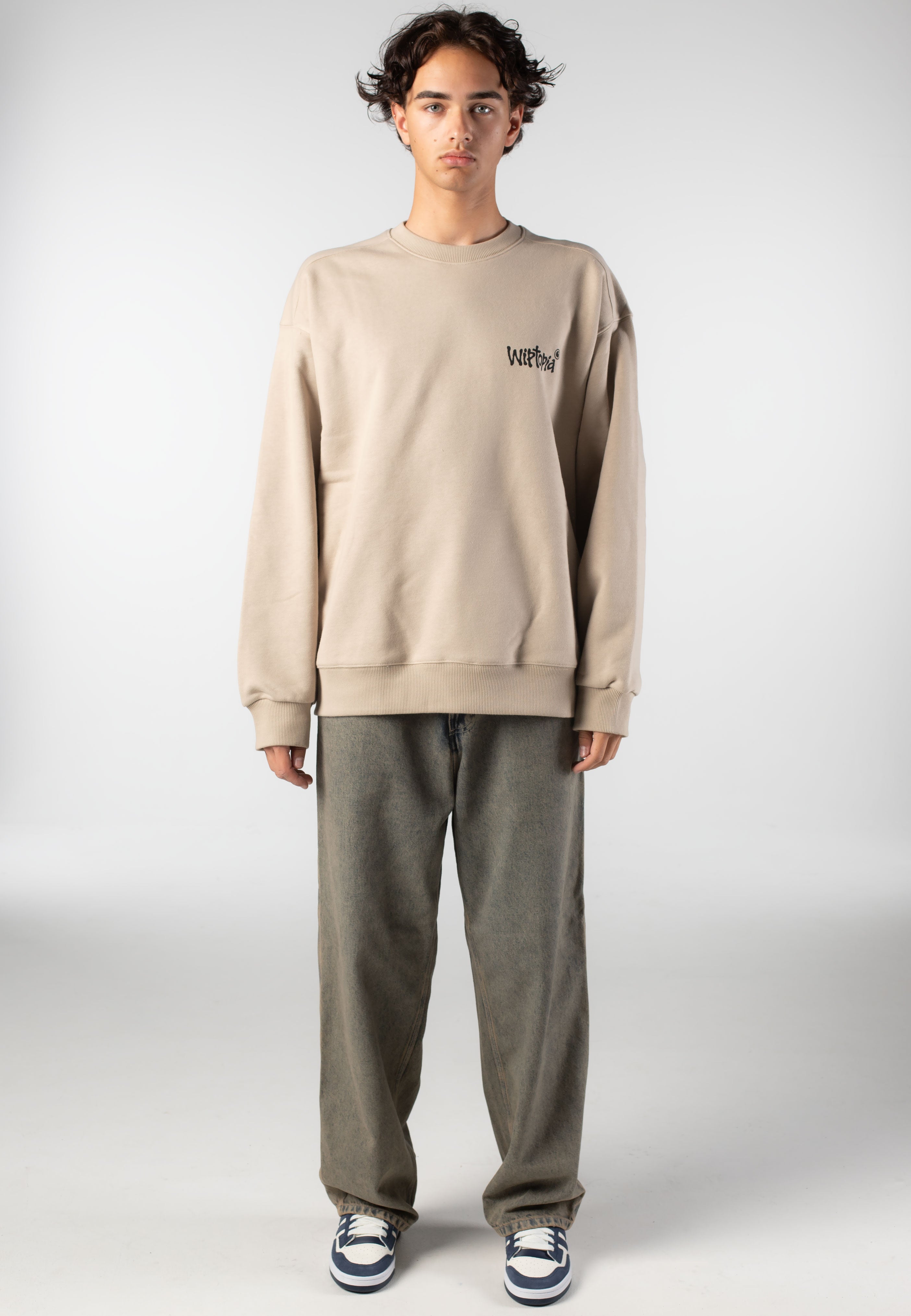 Carhartt WIP - Wiptopia Wall - Sweater | Men-Image