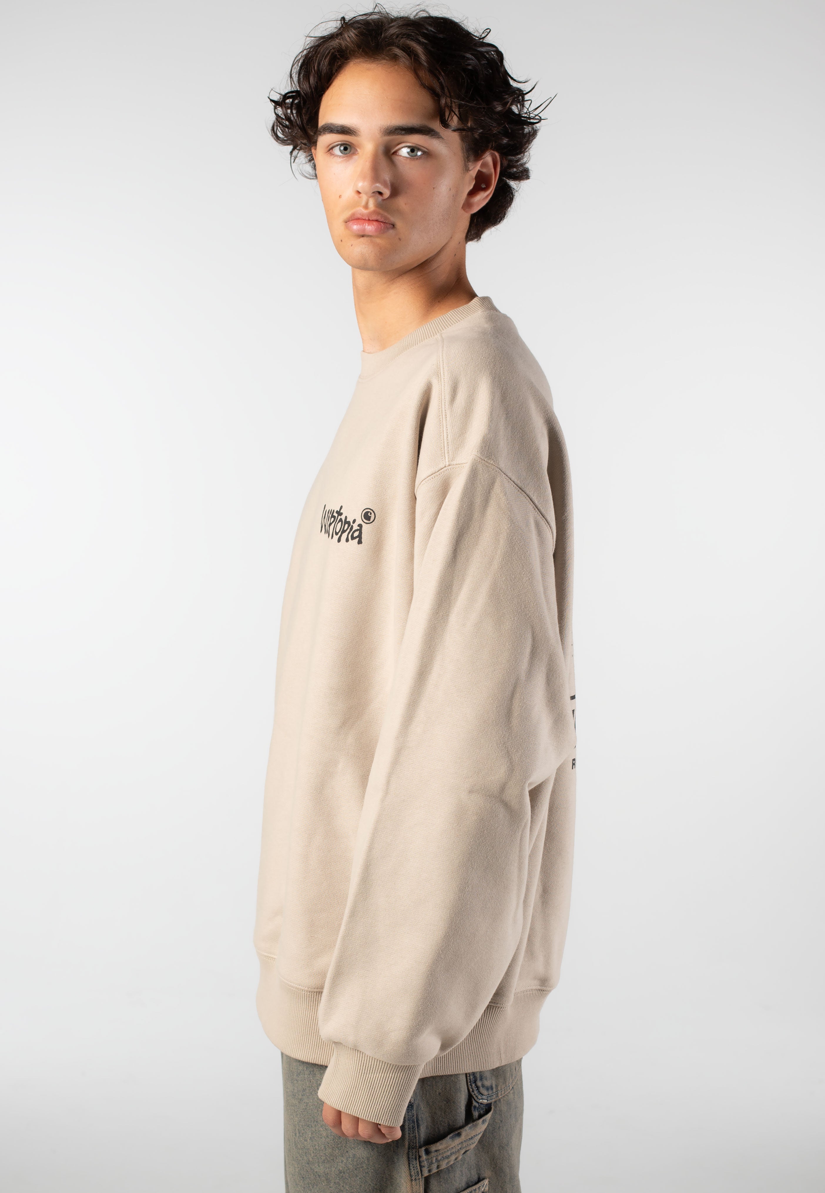 Carhartt WIP - Wiptopia Wall - Sweater | Impericon