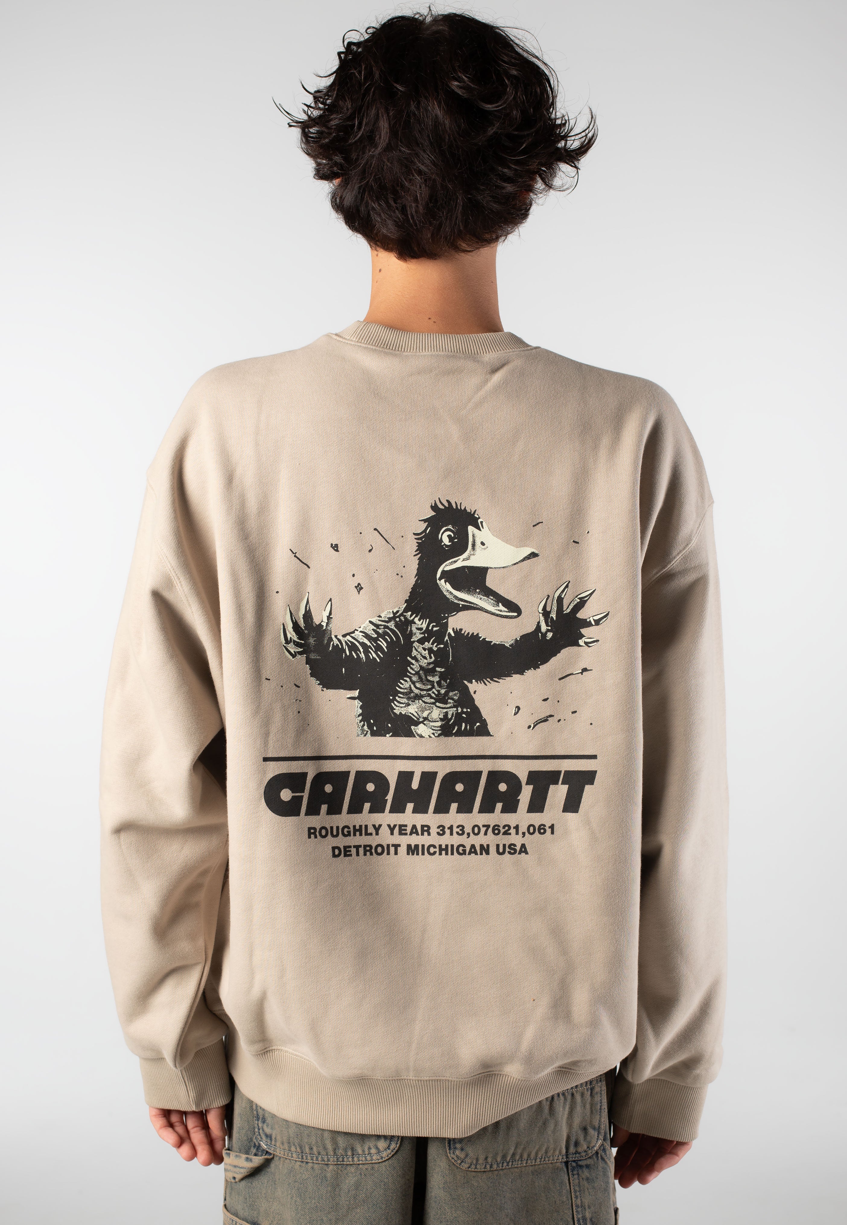 Carhartt WIP - Wiptopia Wall - Sweater | Impericon