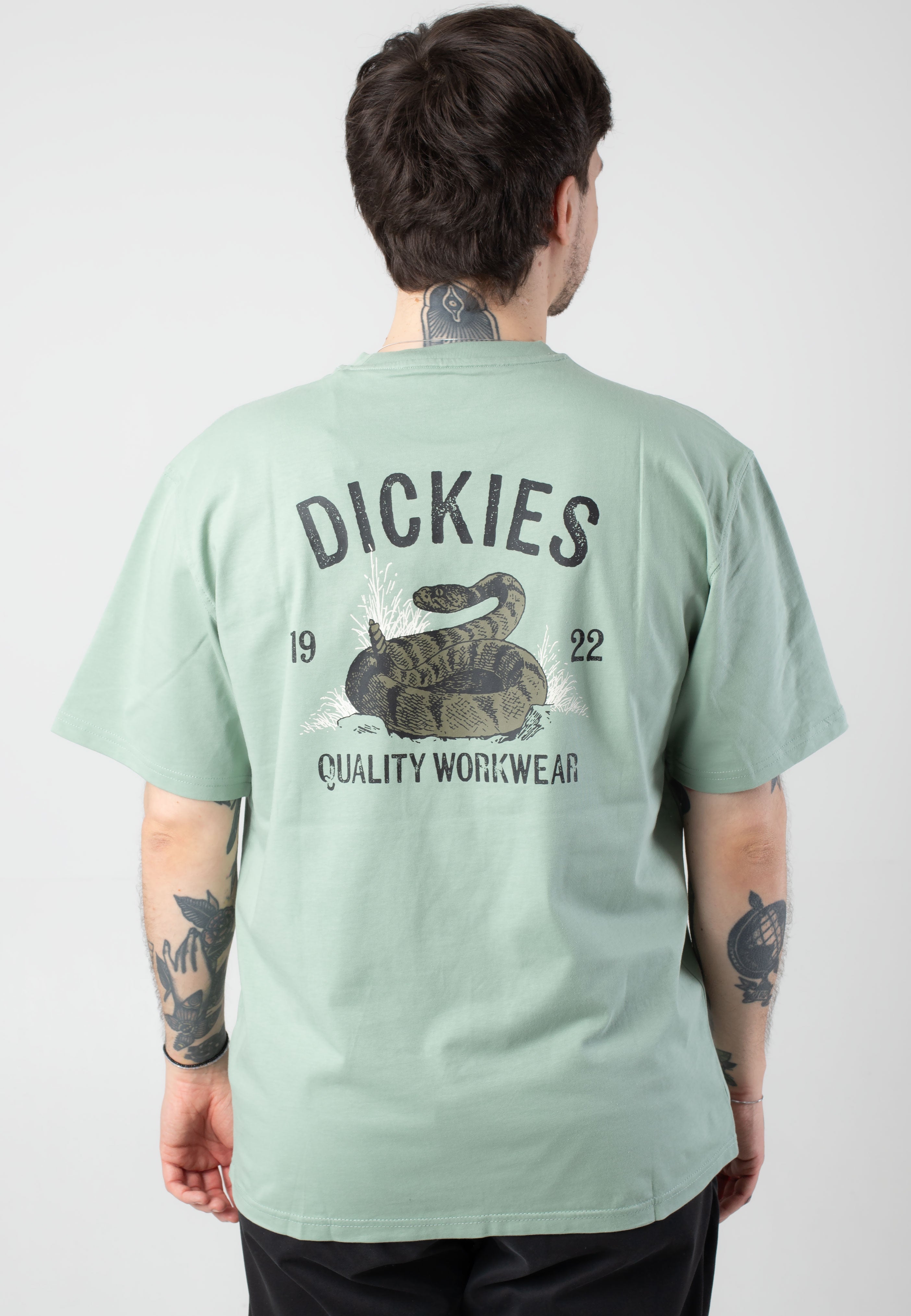 Dickies - Dickies Snake Iceberg Green - T-Shirt | Men-Image