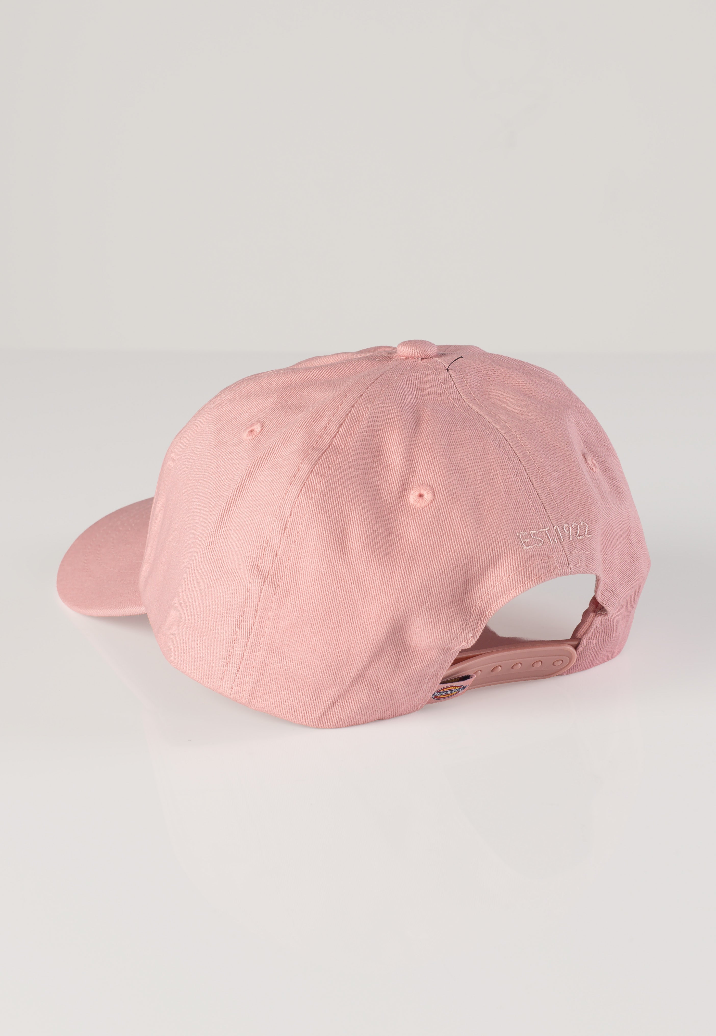 Dickies - Hardwick Bridal Rose - Cap | Neutral-Image