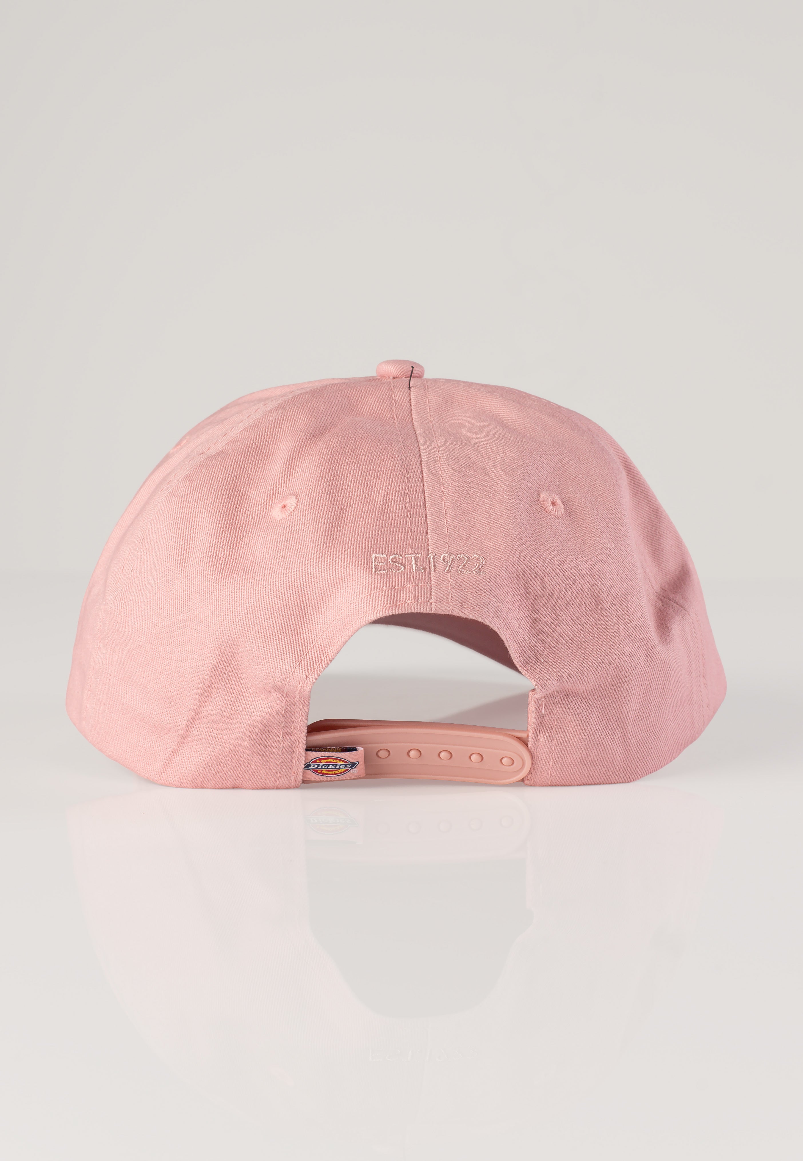 Dickies - Hardwick Bridal Rose - Cap | Neutral-Image