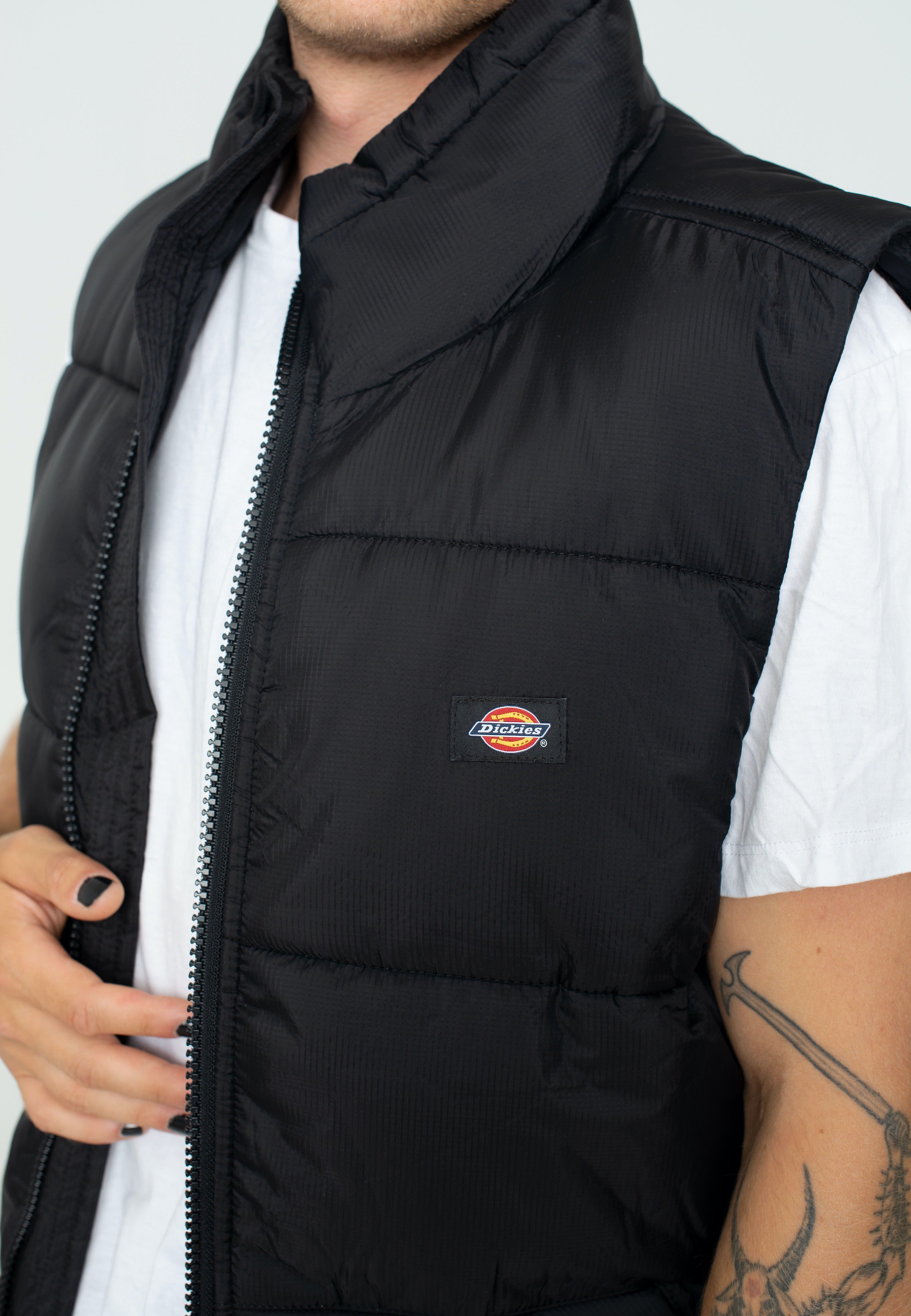 Dickies - Waldenburg Black - Vest | Men-Image