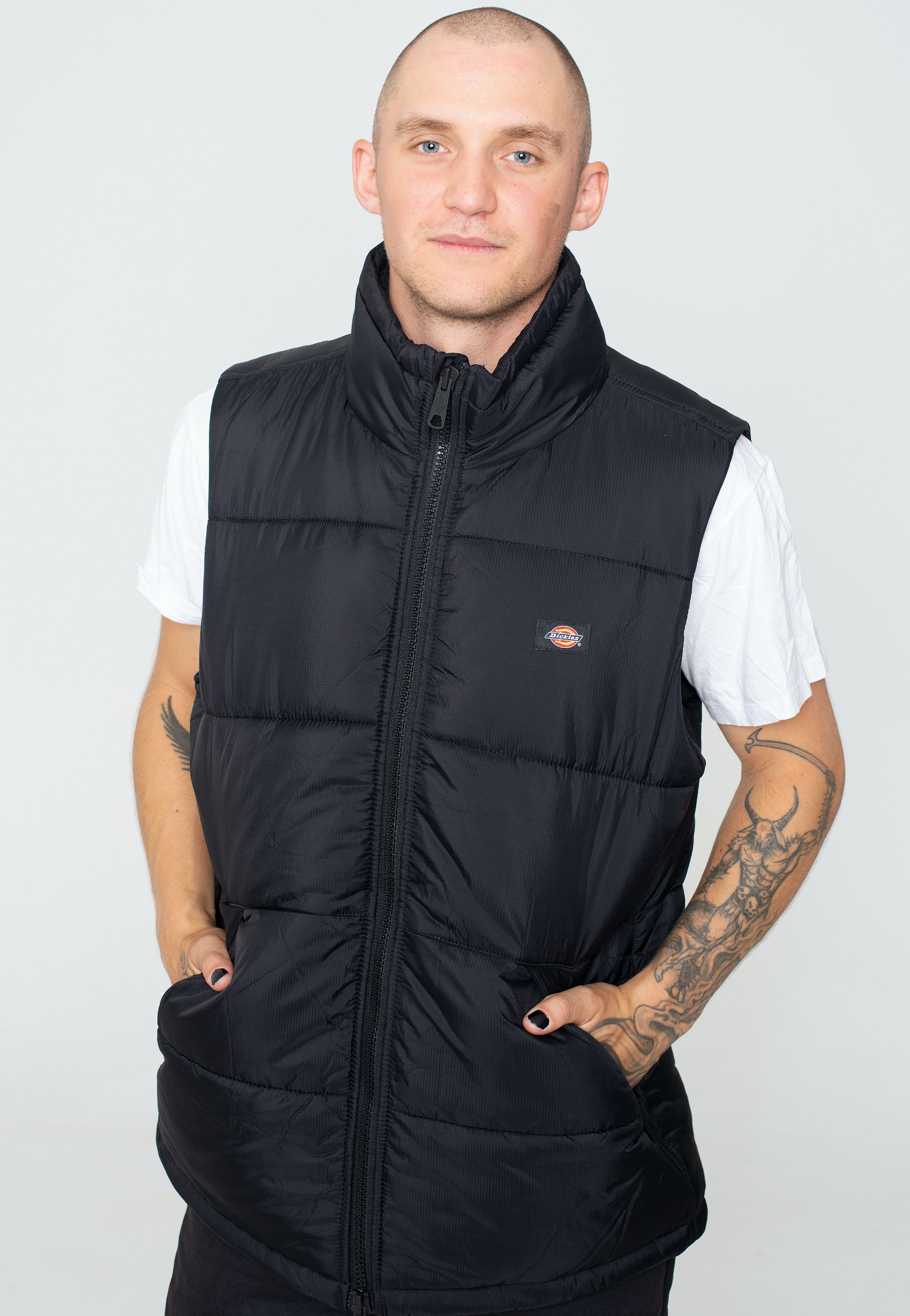 Dickies - Waldenburg Black - Vest | Men-Image