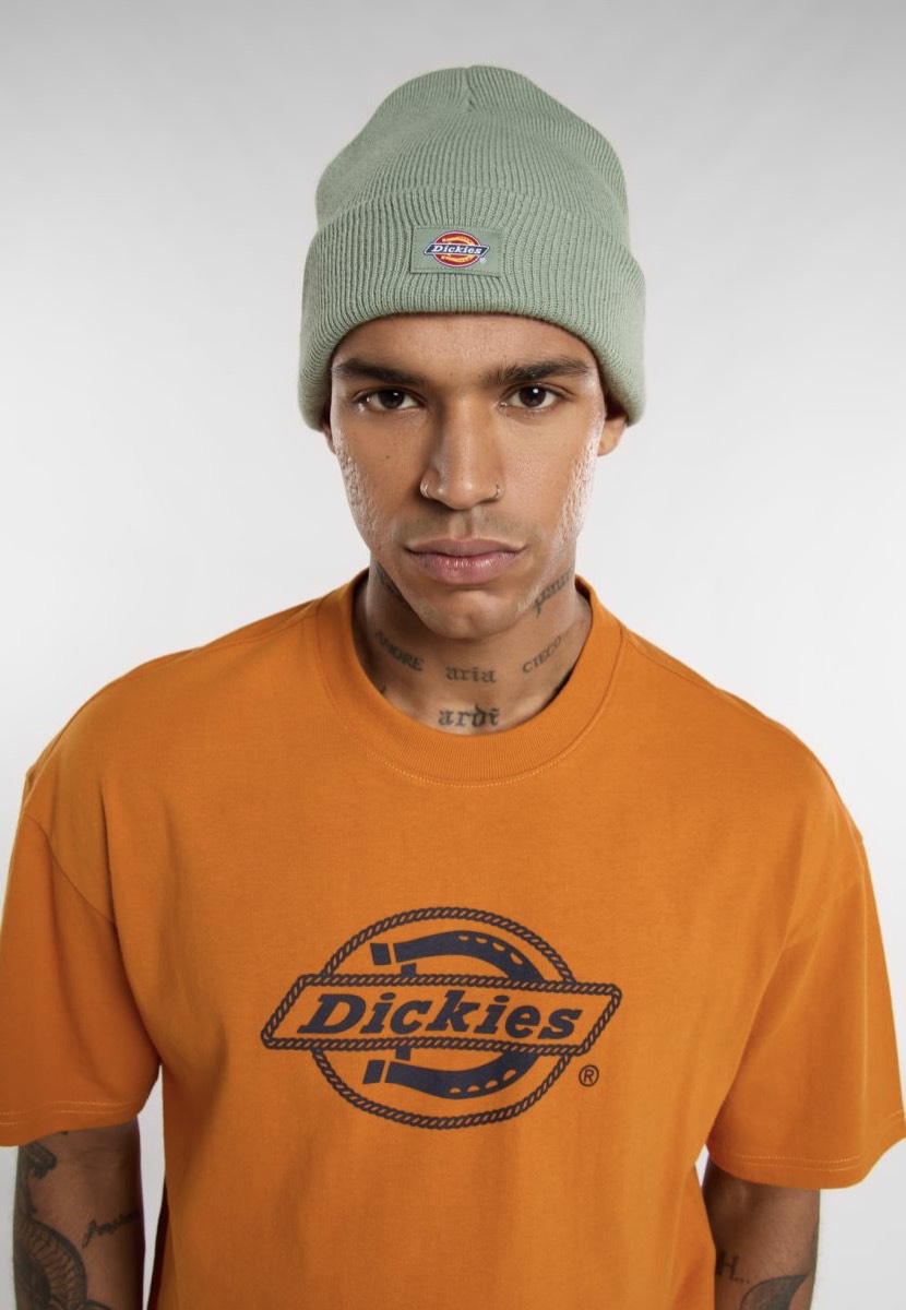 Dickies - Gibsland Sea Spray - Beanie | Neutral-Image