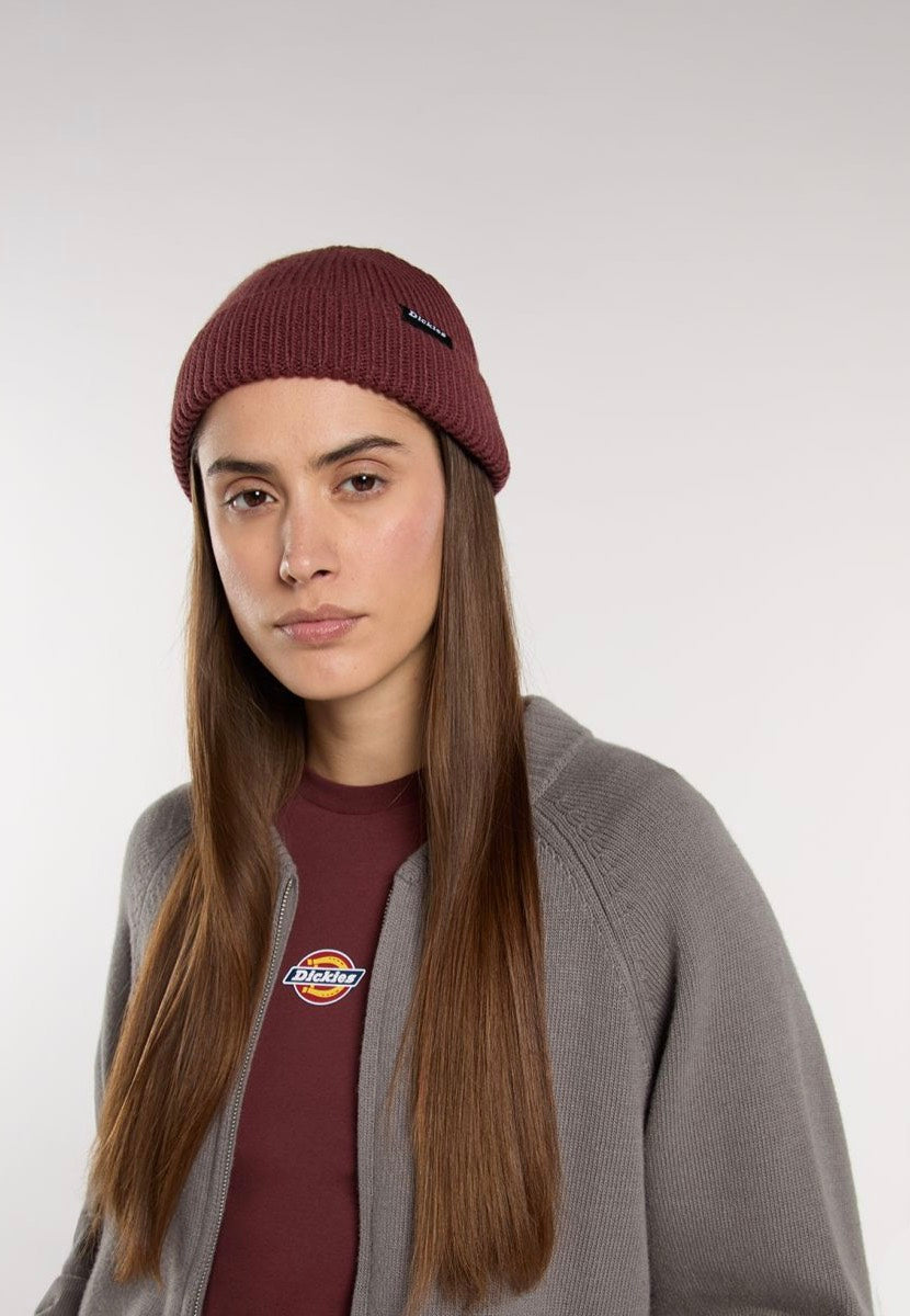 Dickies - Woodworth Andorra - Beanie | Neutral-Image