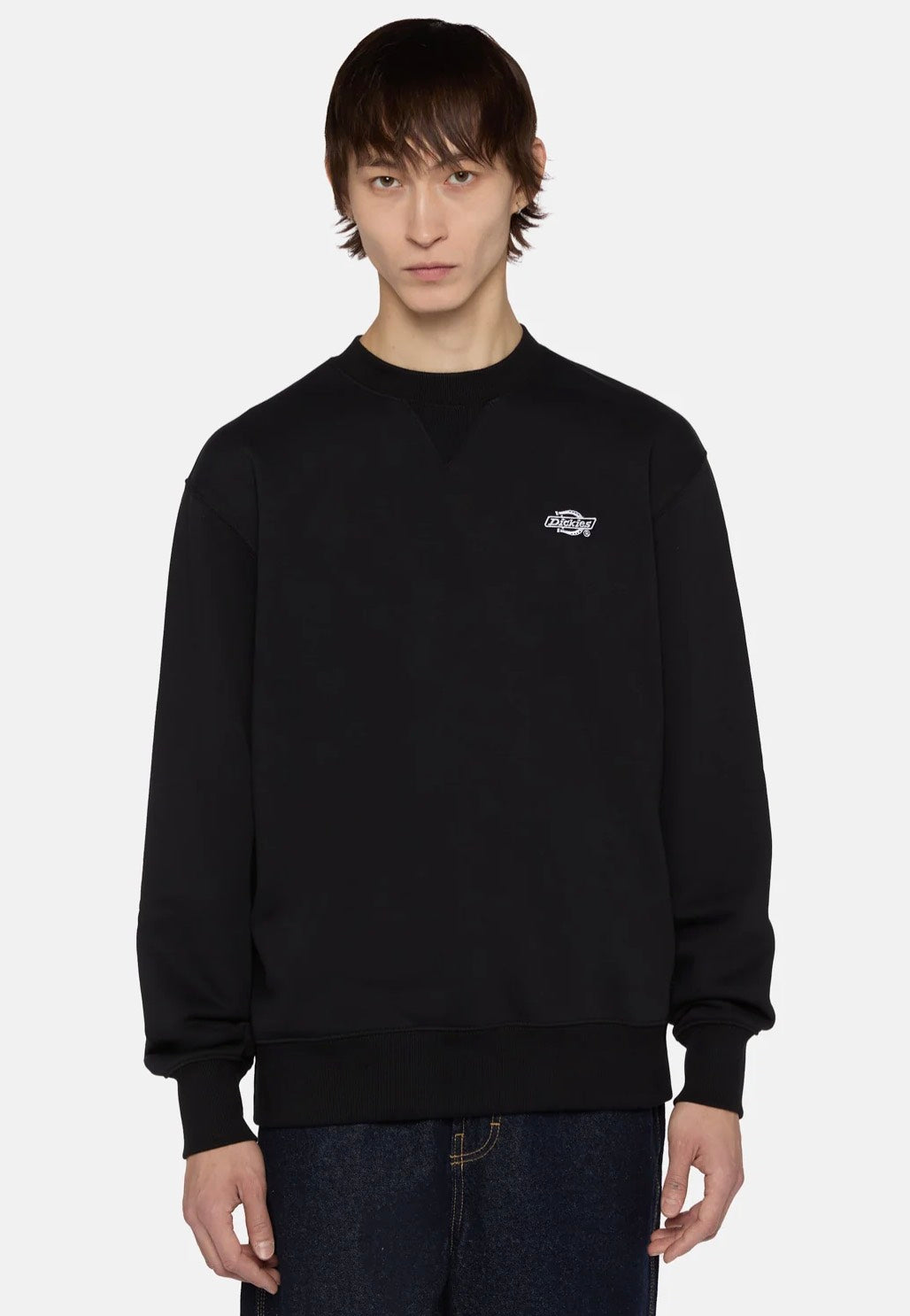 Dickies - Summerdale Black - Sweater | Men-Image