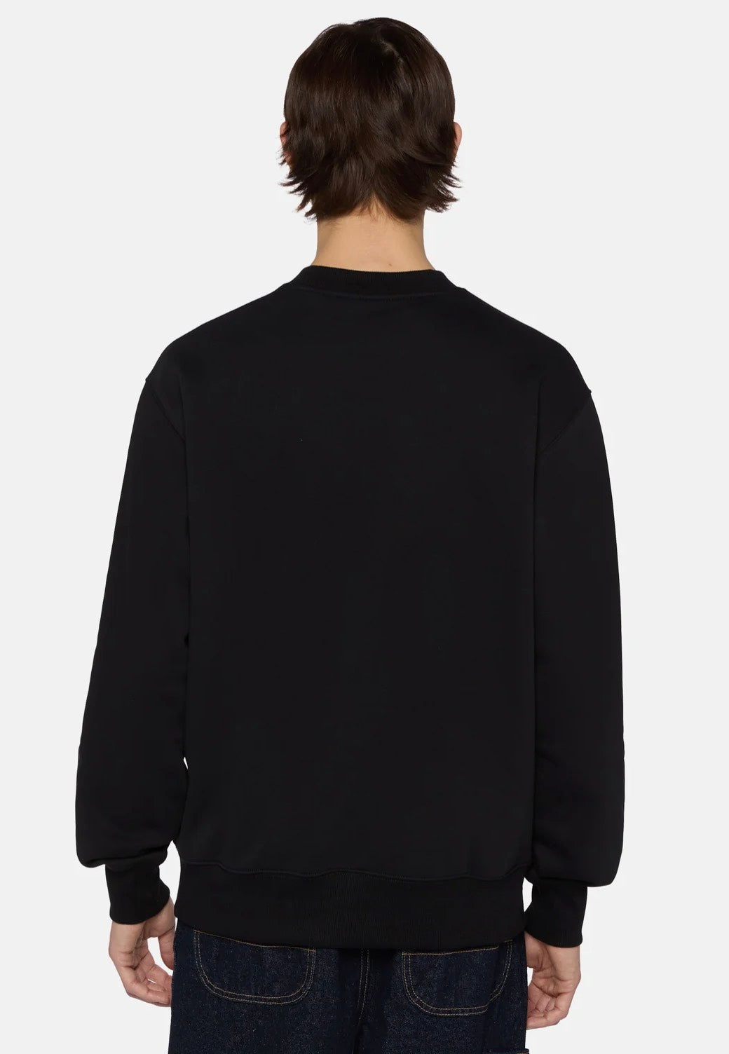 Dickies - Summerdale Black - Sweater | Men-Image