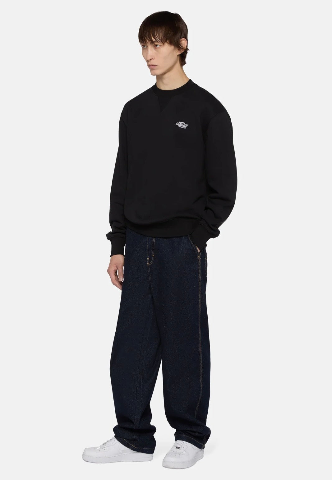 Dickies - Summerdale Black - Sweater | Men-Image
