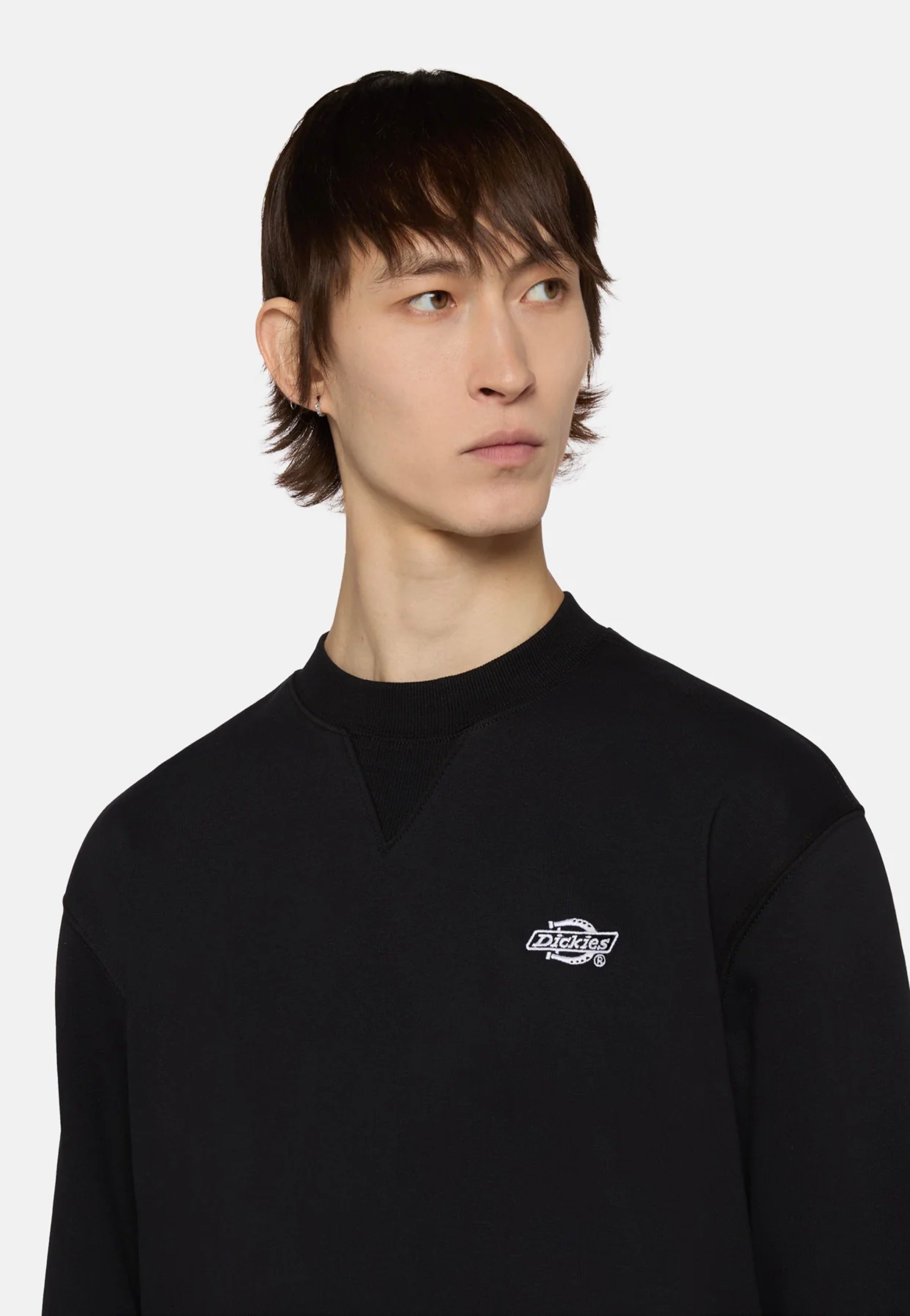 Dickies - Summerdale Black - Sweater | Men-Image