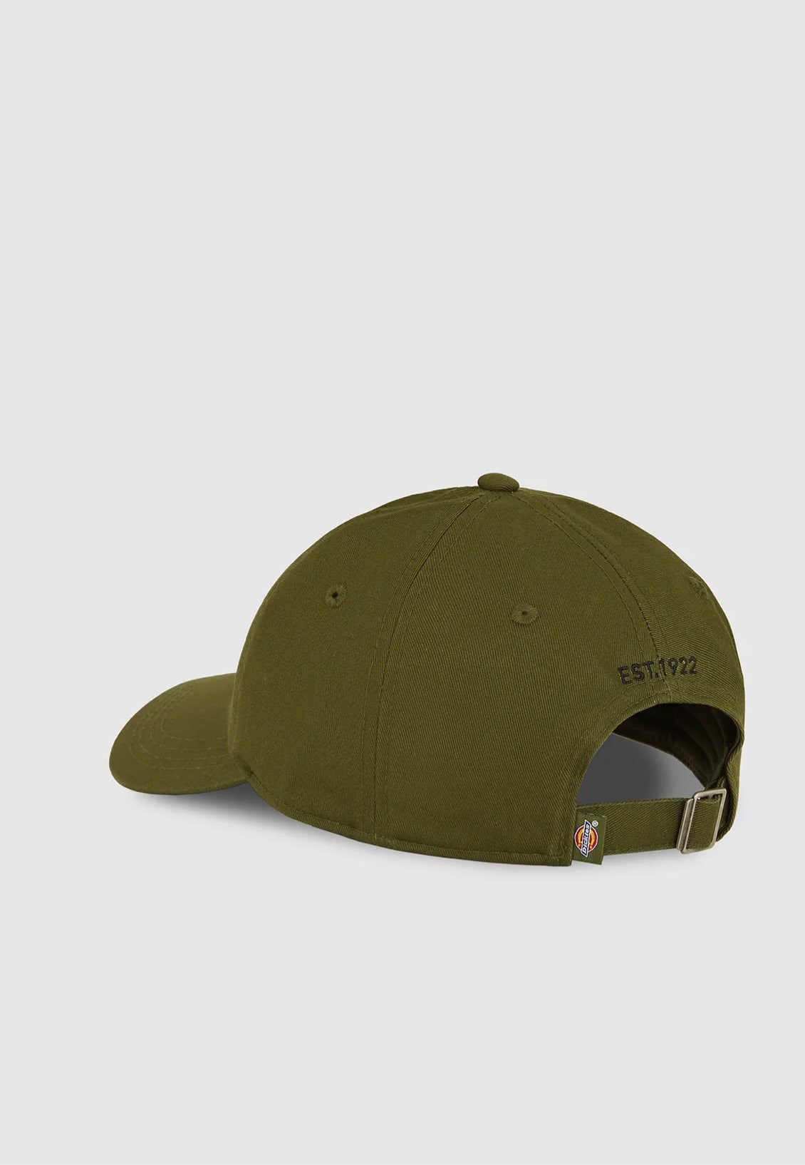 Dickies - Essential Cypress - Cap | Neutral-Image