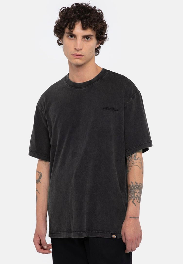 Dickies - Plentywood Dble Dye/Acd Black - T-Shirt