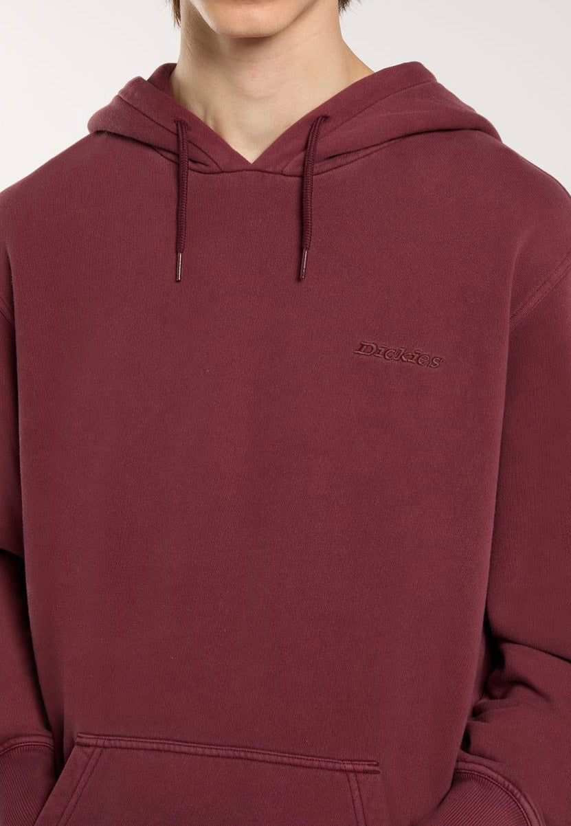 Dickies - Plentywood Andorra - Hoodie | Men-Image