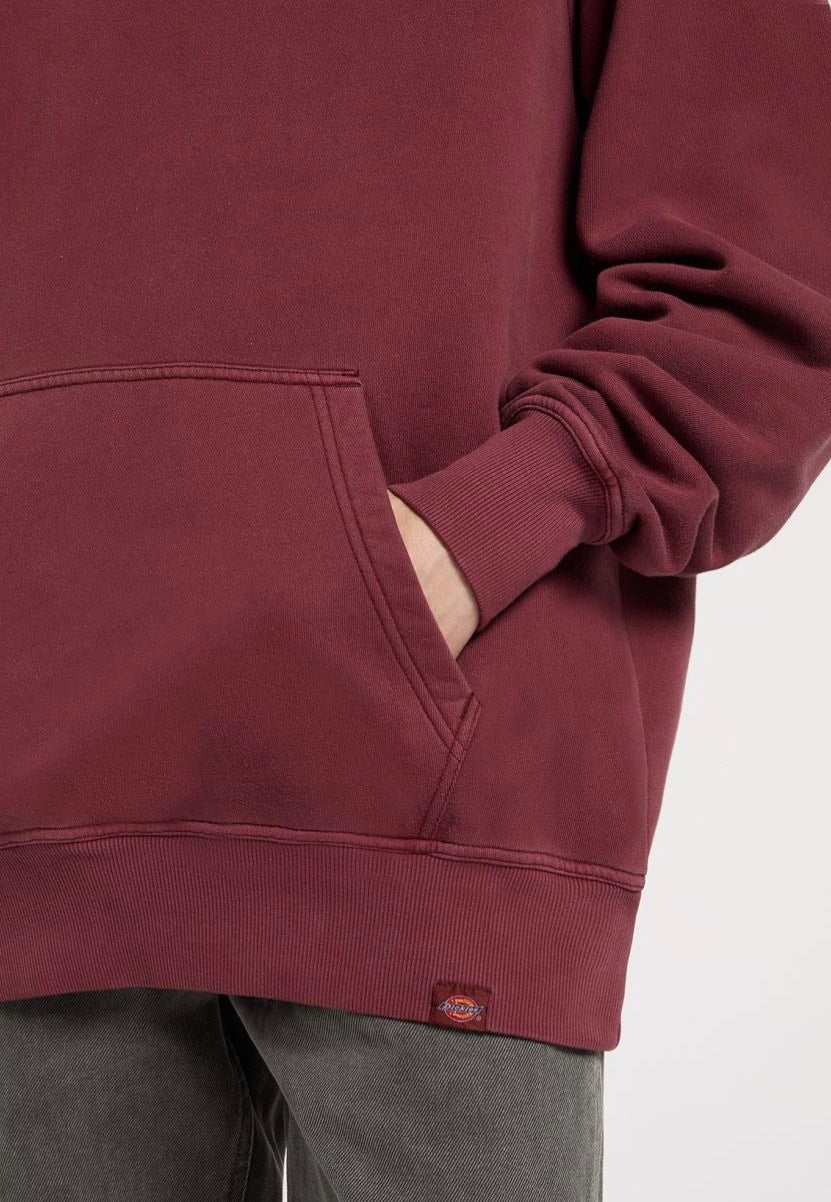 Dickies - Plentywood Andorra - Hoodie | Men-Image