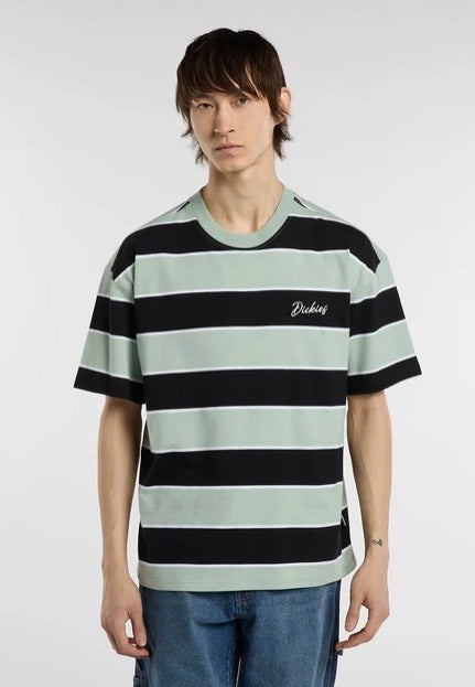 Dickies Embroidery Stripe Jadeite T-Shirt | Men-Image