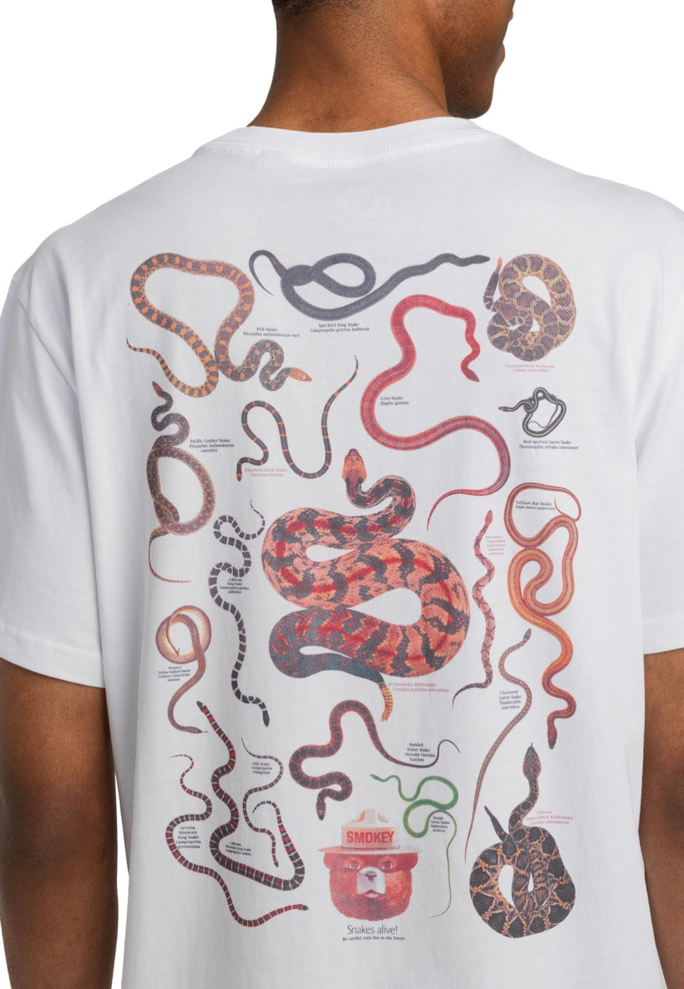 Element x Smokey Bear - Nest Optic White - T-Shirt | Men-Image