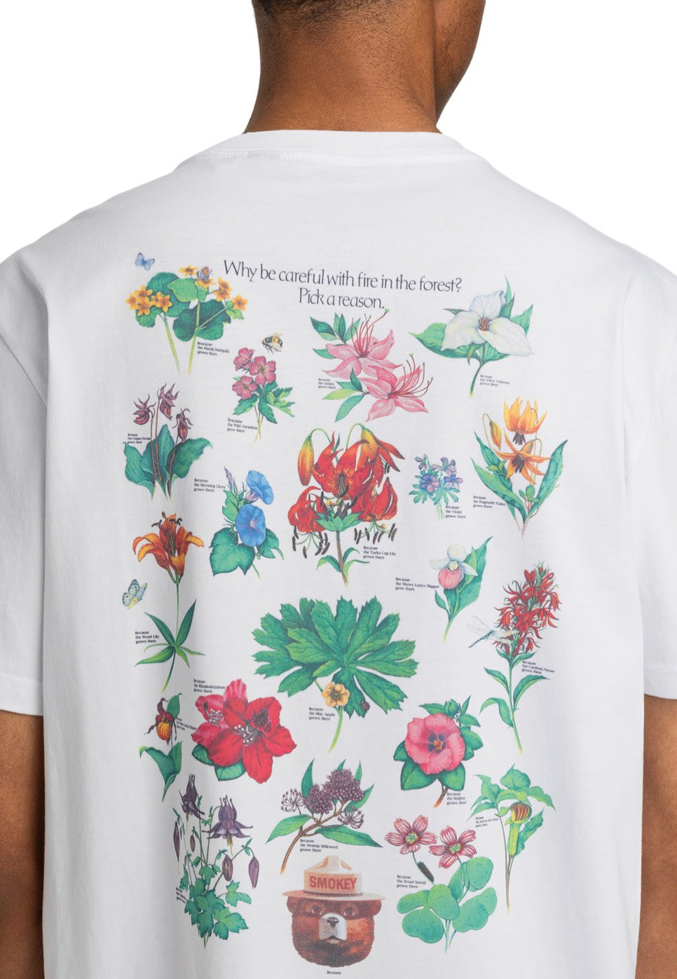 Element x Smokey Bear - Bee Optic White - T-Shirt | Men-Image