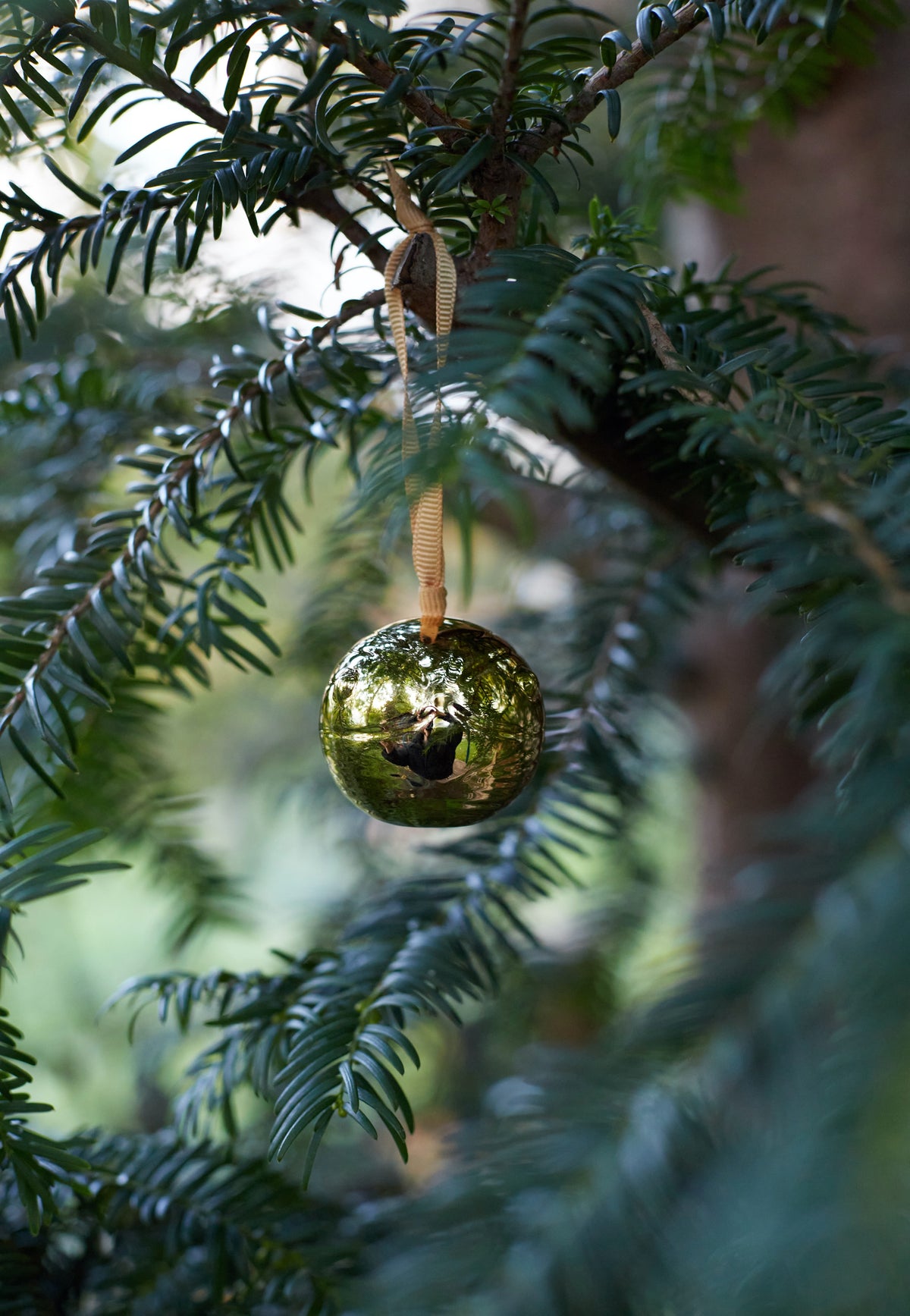 Harry Potter Golden Snitch Kerstboomversieringen | Neutral-Image