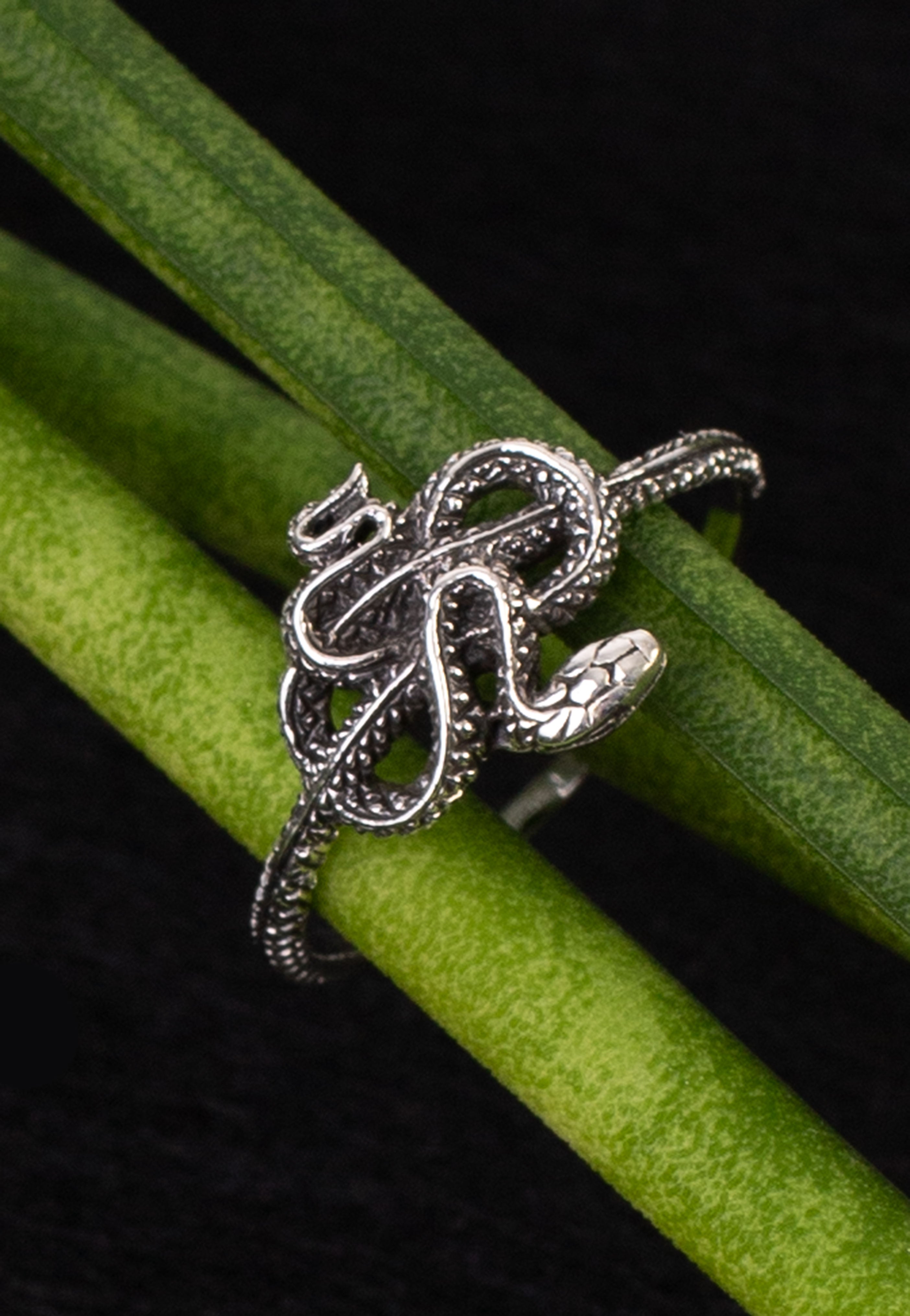 etNox - Kleine Schlange - Ring | Neutral-Image